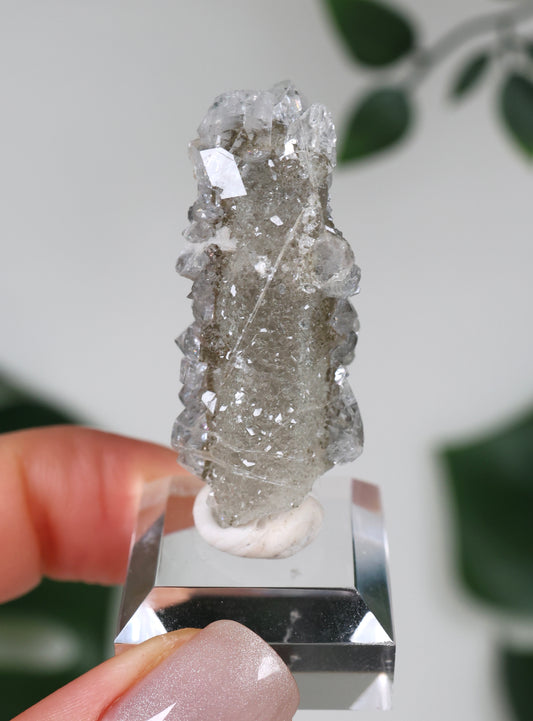 Apophyllite x Quartz x Chlorite No.57Q2