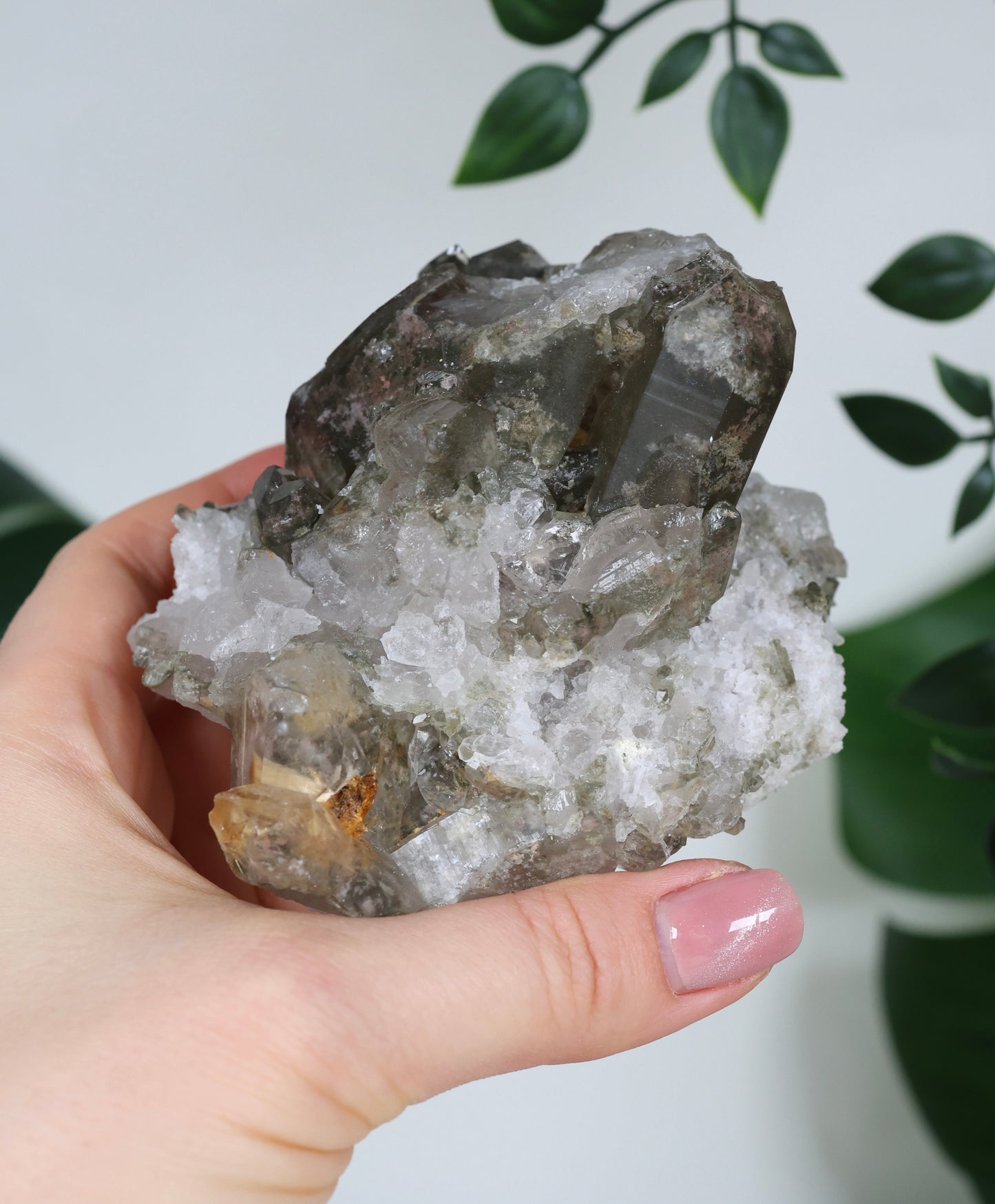 Garden Quartz x Rutile Cluster No. 99GR 