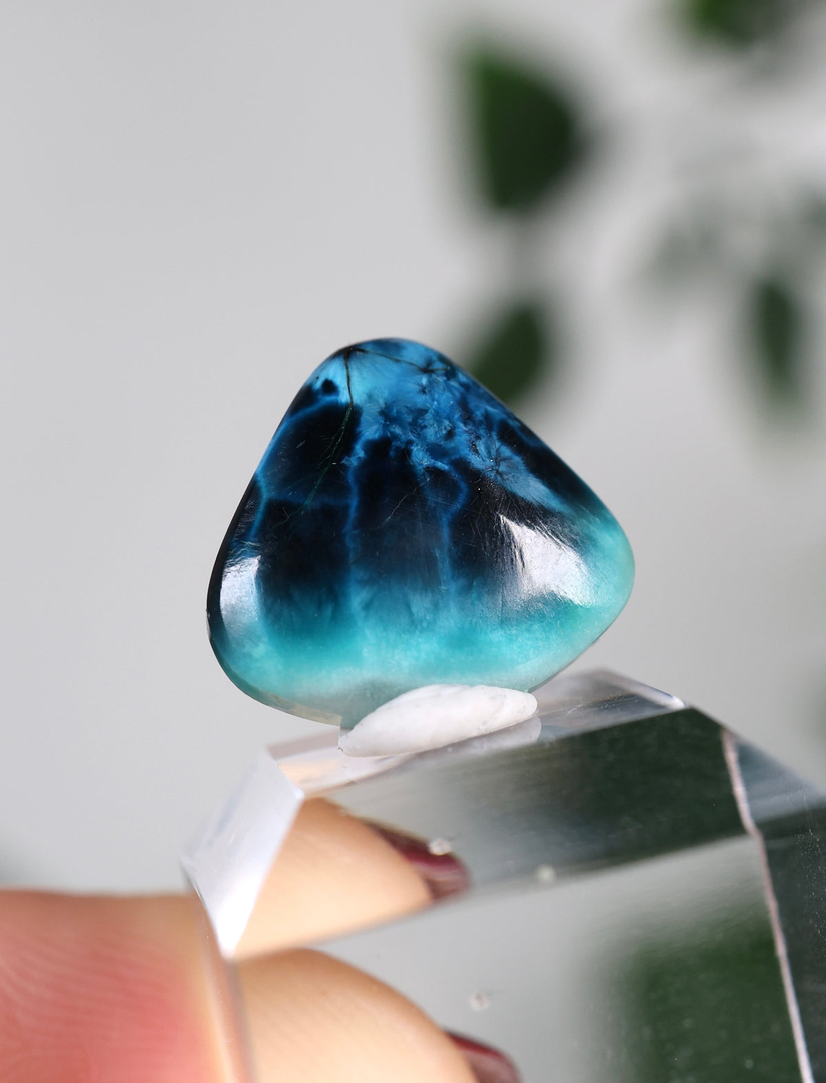 Tantara Shattuckit x Dioptas Oldstock Cabochon Nr.99ST