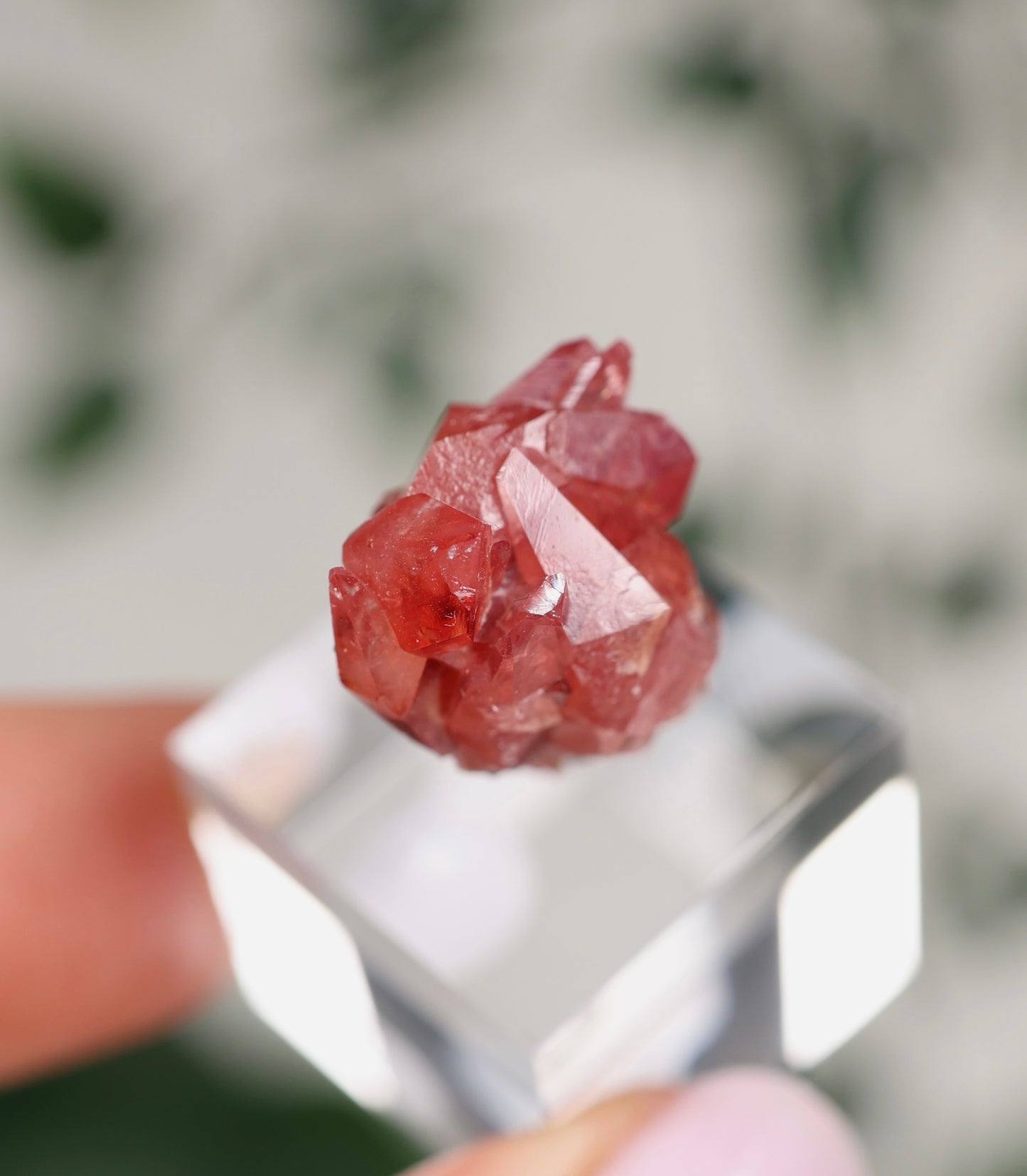 Kristallisierter Rhodochrosit Oldstock Nr.296RH