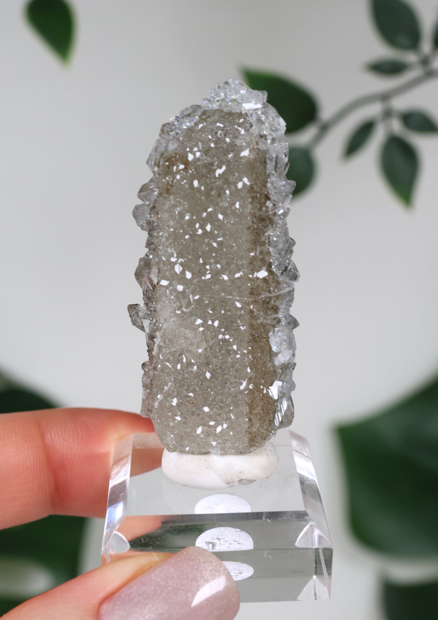 Apophyllite x Quartz x Chlorite No. 104QS