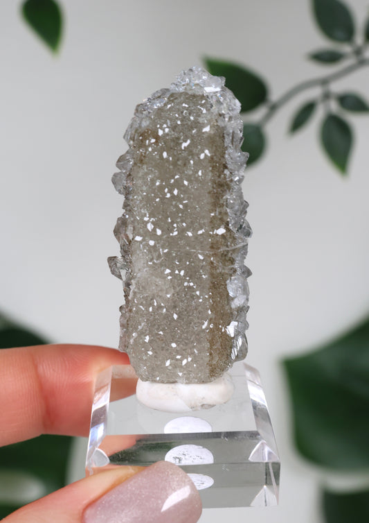 Apophyllite x Quartz x Chlorite No. 104QS