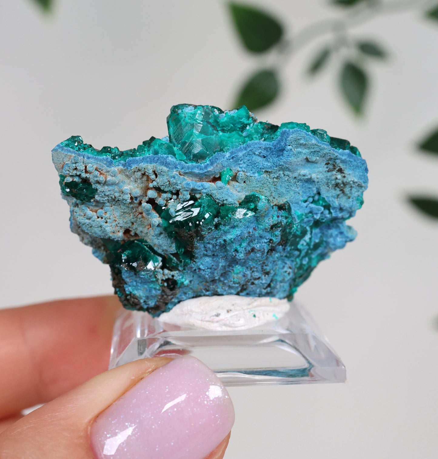 Dioptasa x Shattuckita n.º 250DS