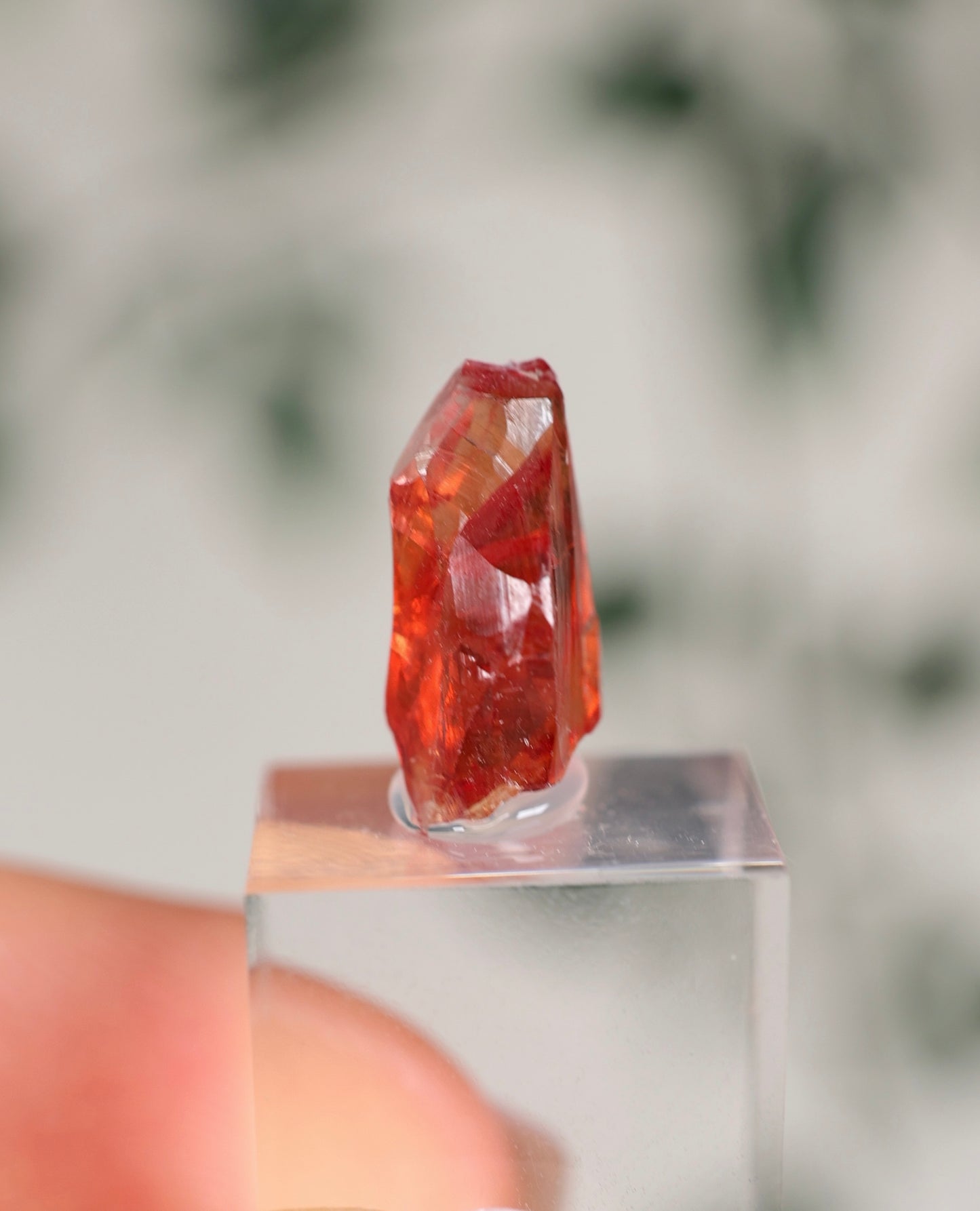 Kristallisierter Rhodochrosit Oldstock Nr.158RH
