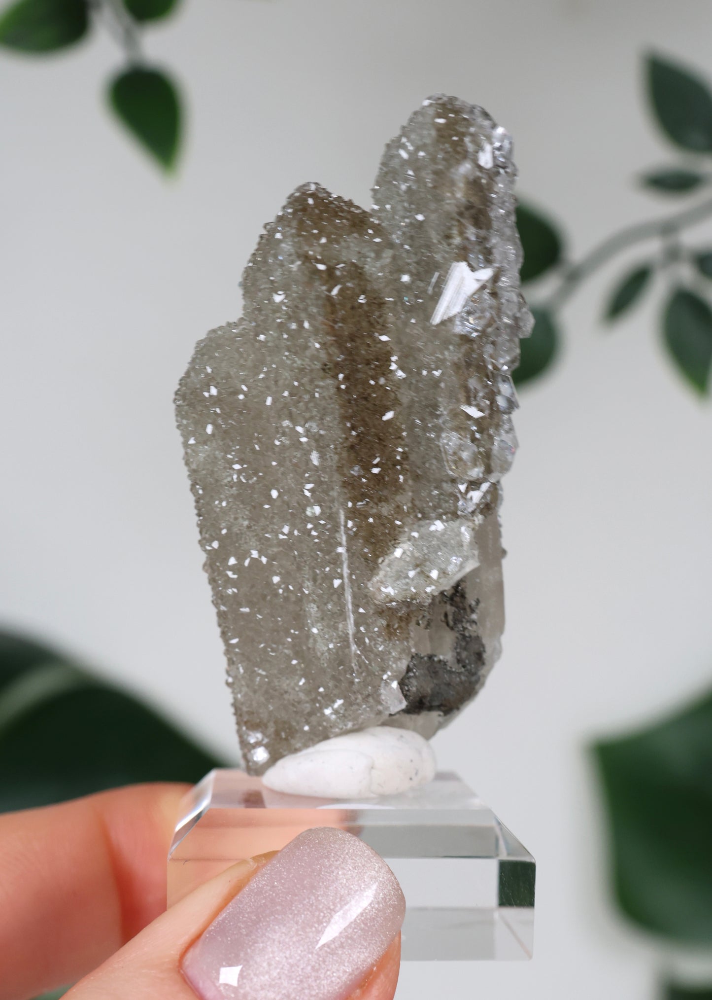 Apophyllite x Quartz x Chlorite No. 119QA