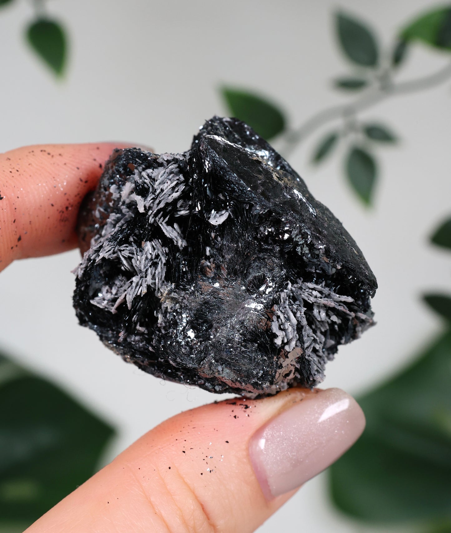 Specularite No. 95SP