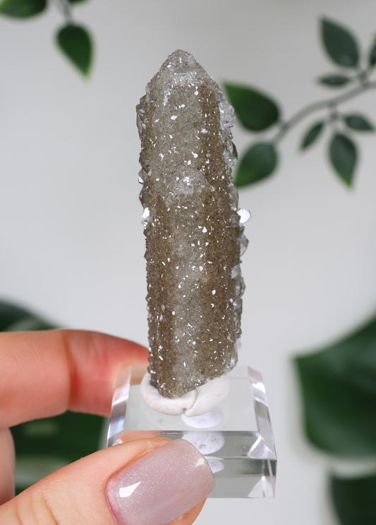 Apophyllite x Quartz x Chlorite No. 108Q1