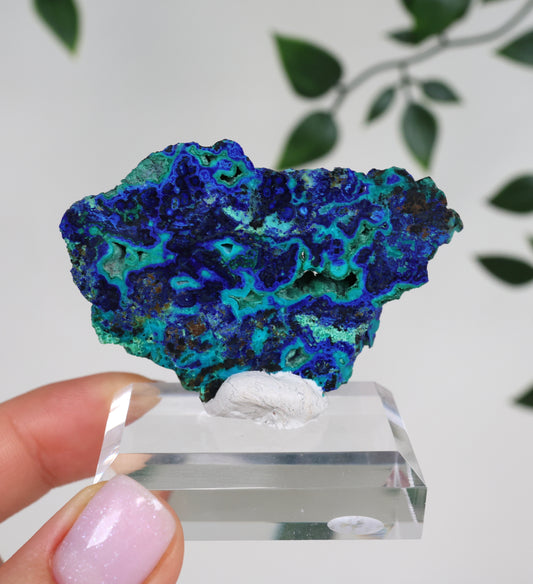Azurite x Chrysocolla x Malachite No.176AZ 