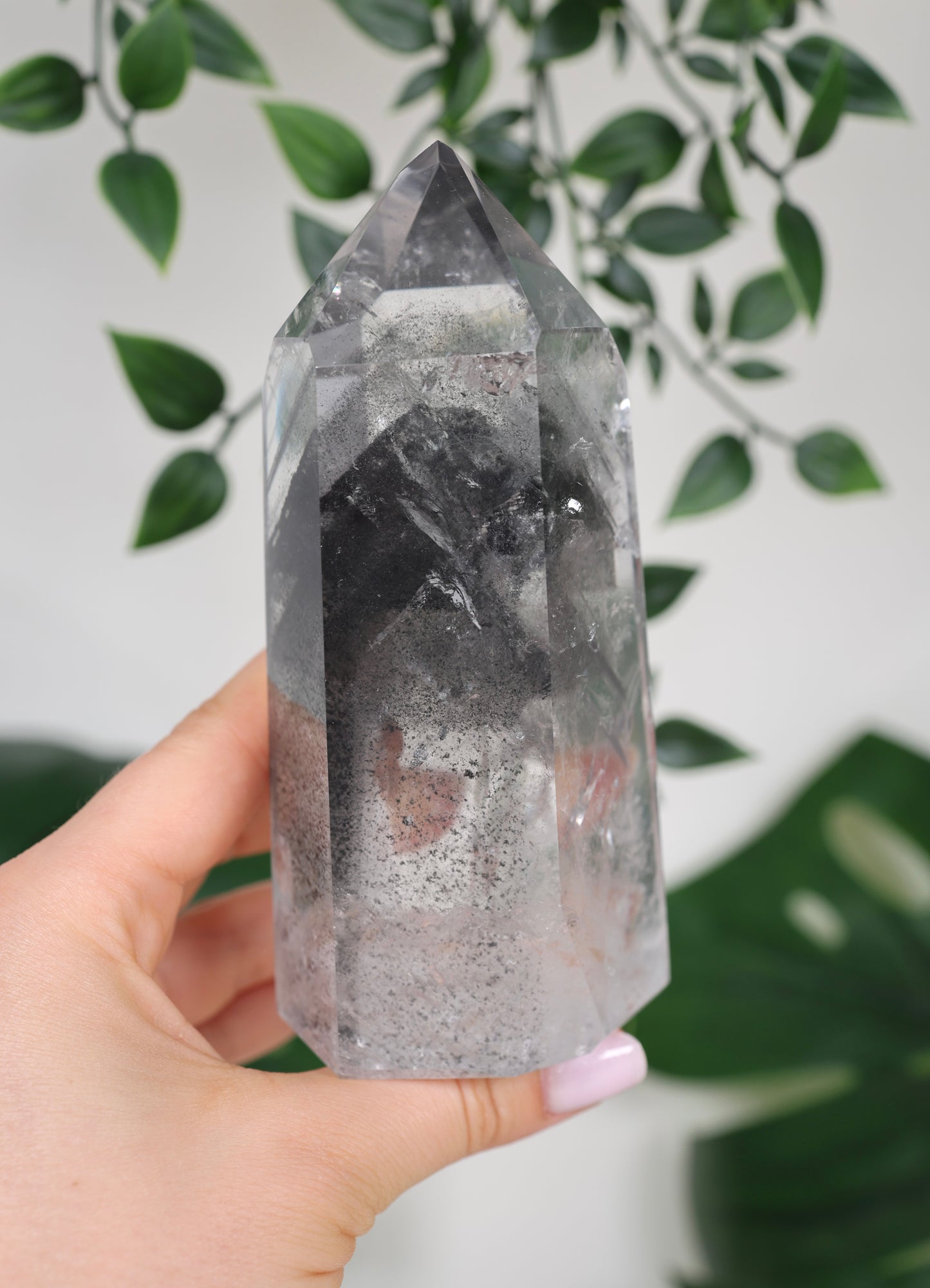 Black Phantom Lemurian Nr.555BL