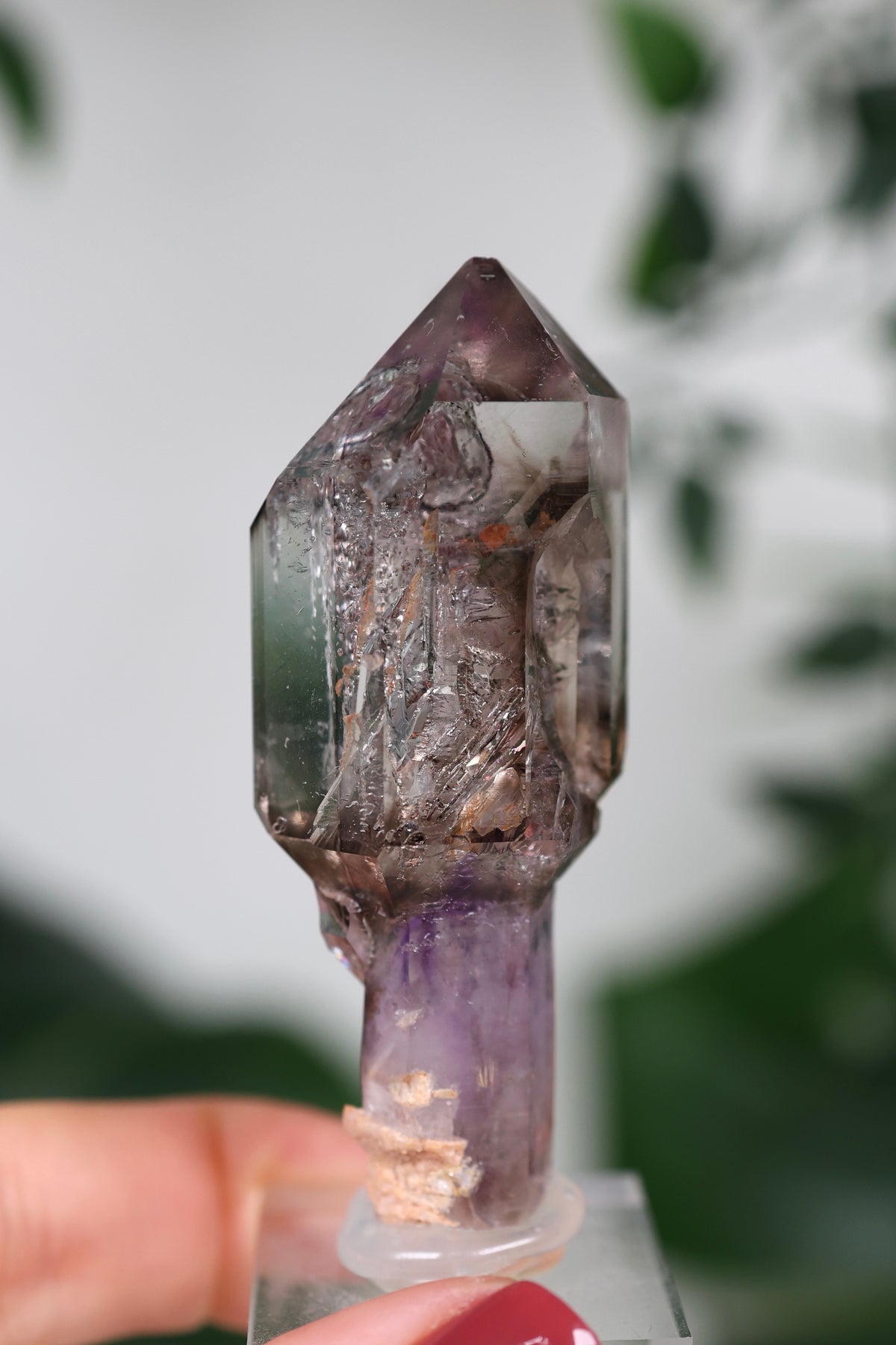 Amethyst x Rauchquarz Zepter Enhydro Nr.444AZ
