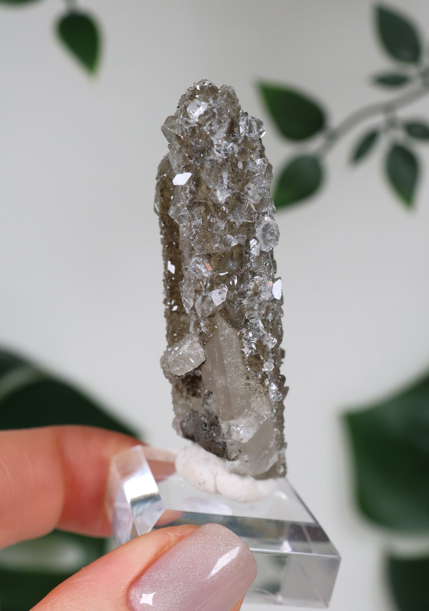 Apophyllite x Quartz x Chlorite No. 119QA