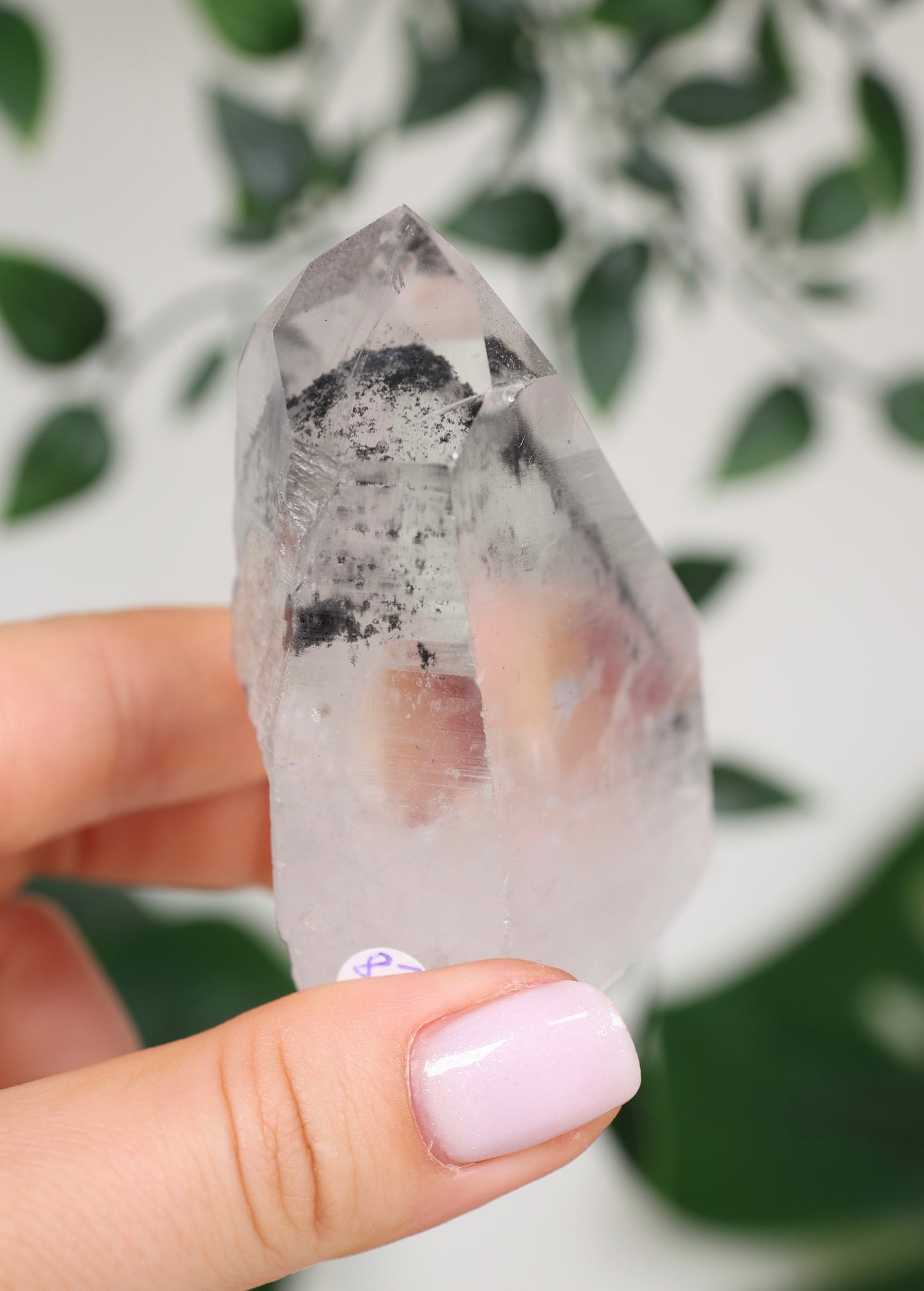 Black Phantom Lemurian Semi-Polished Nr.87BL