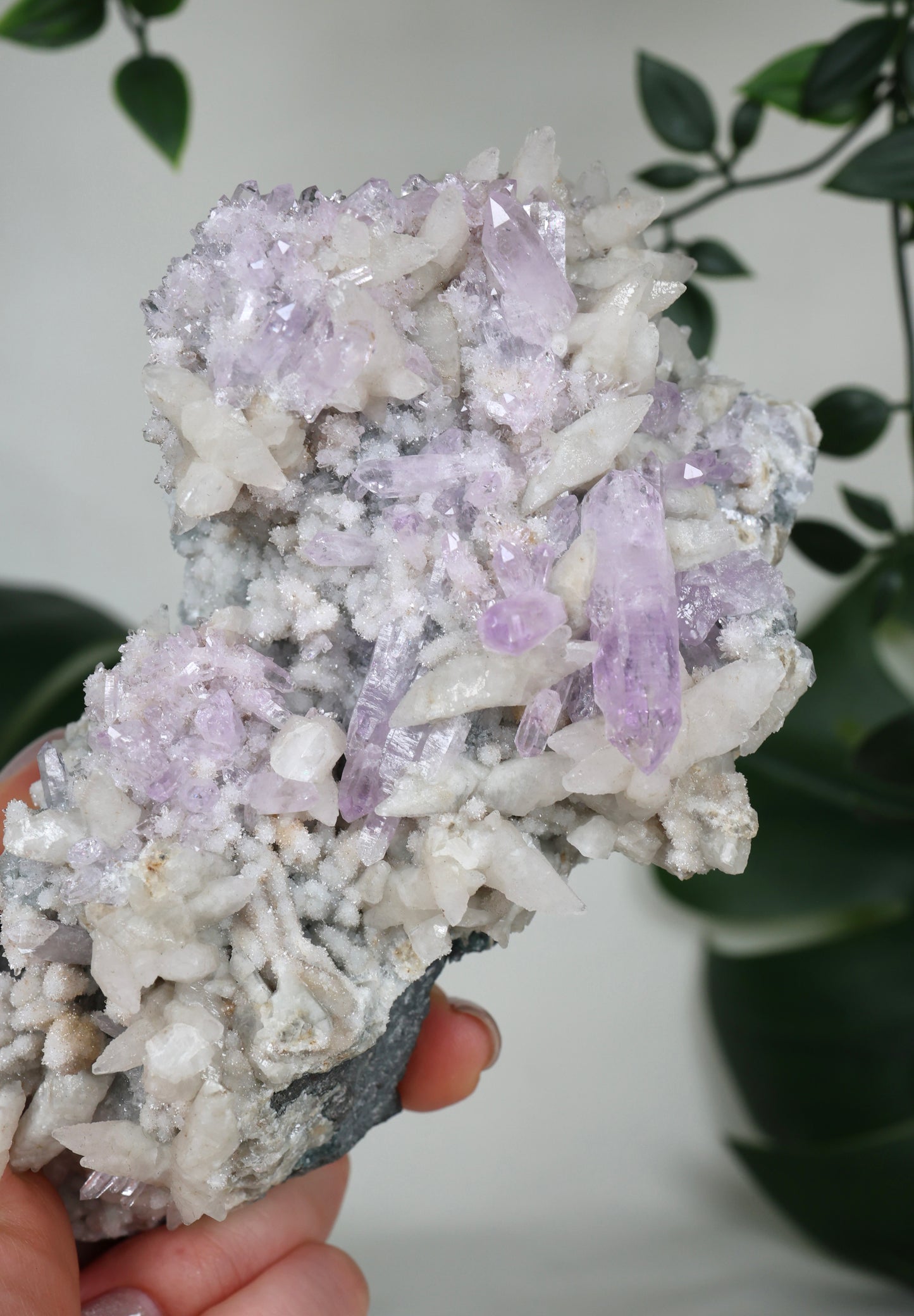 Calcite x Vera Cruz Amethyst No. 595VC