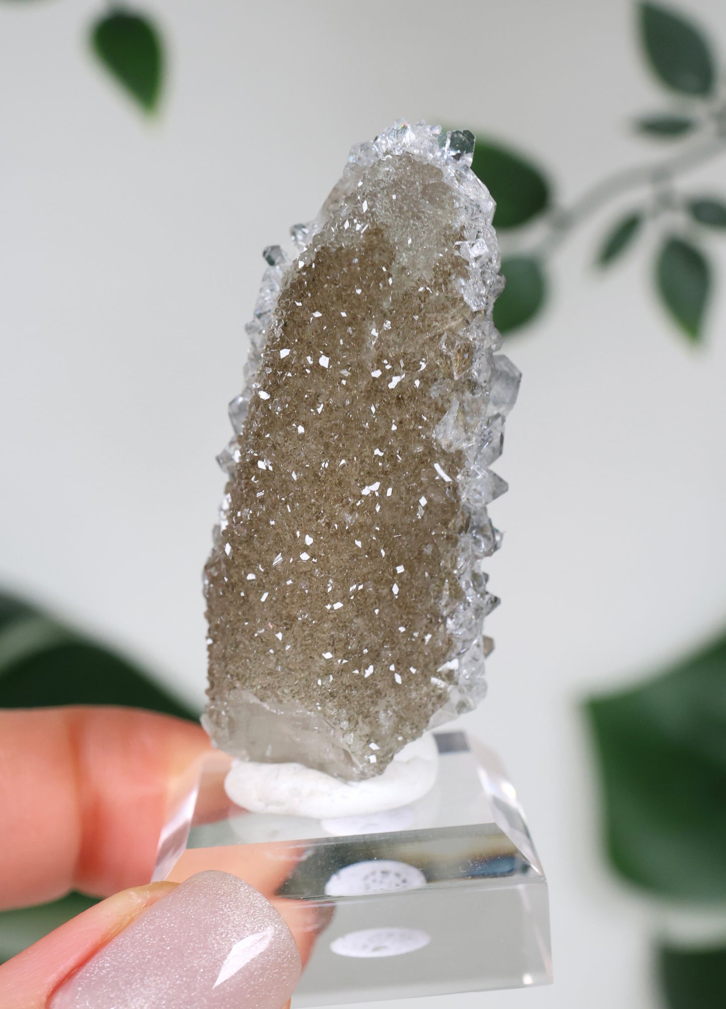 Apophyllite x Quartz x Chlorite No. 104QA