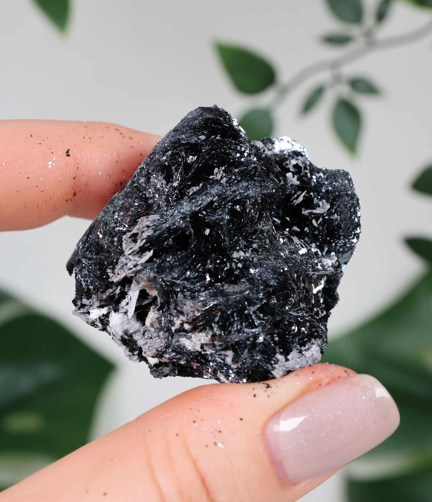Specularite No. 95SP