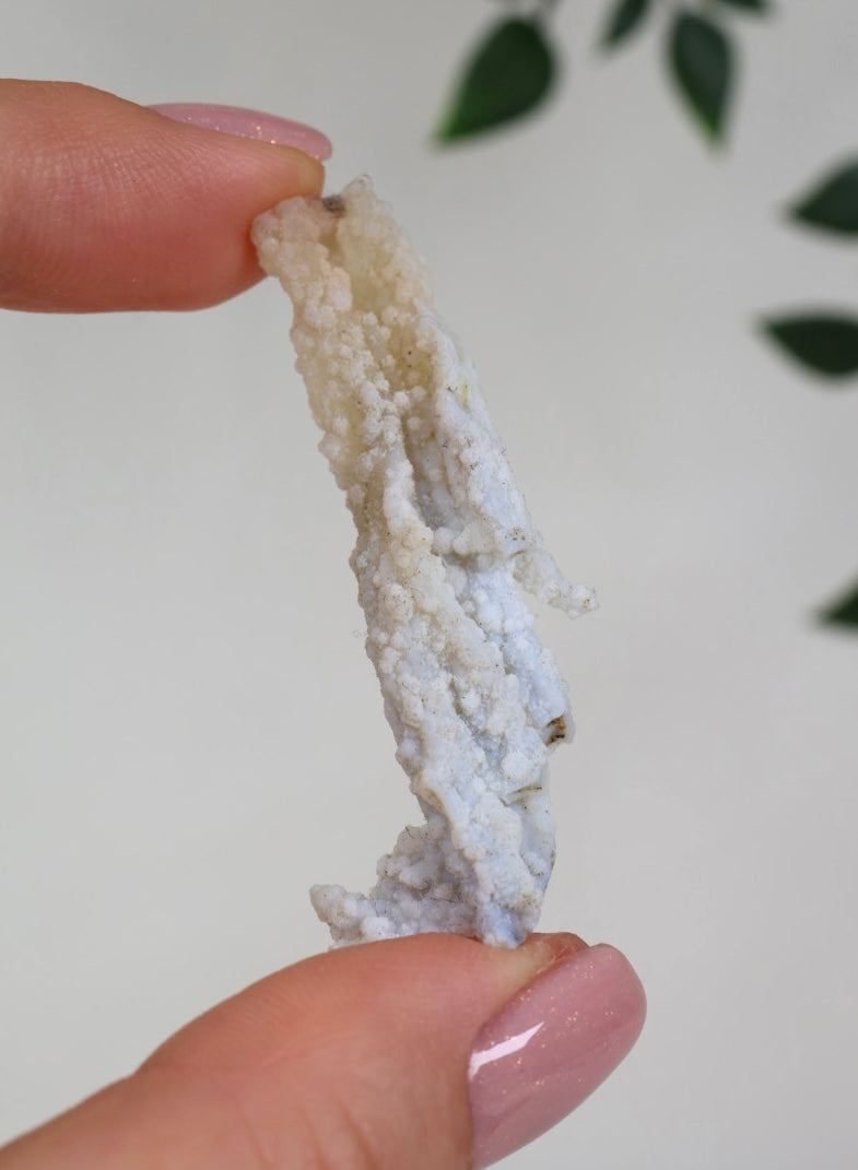 Calcedonia azul coral - Selección