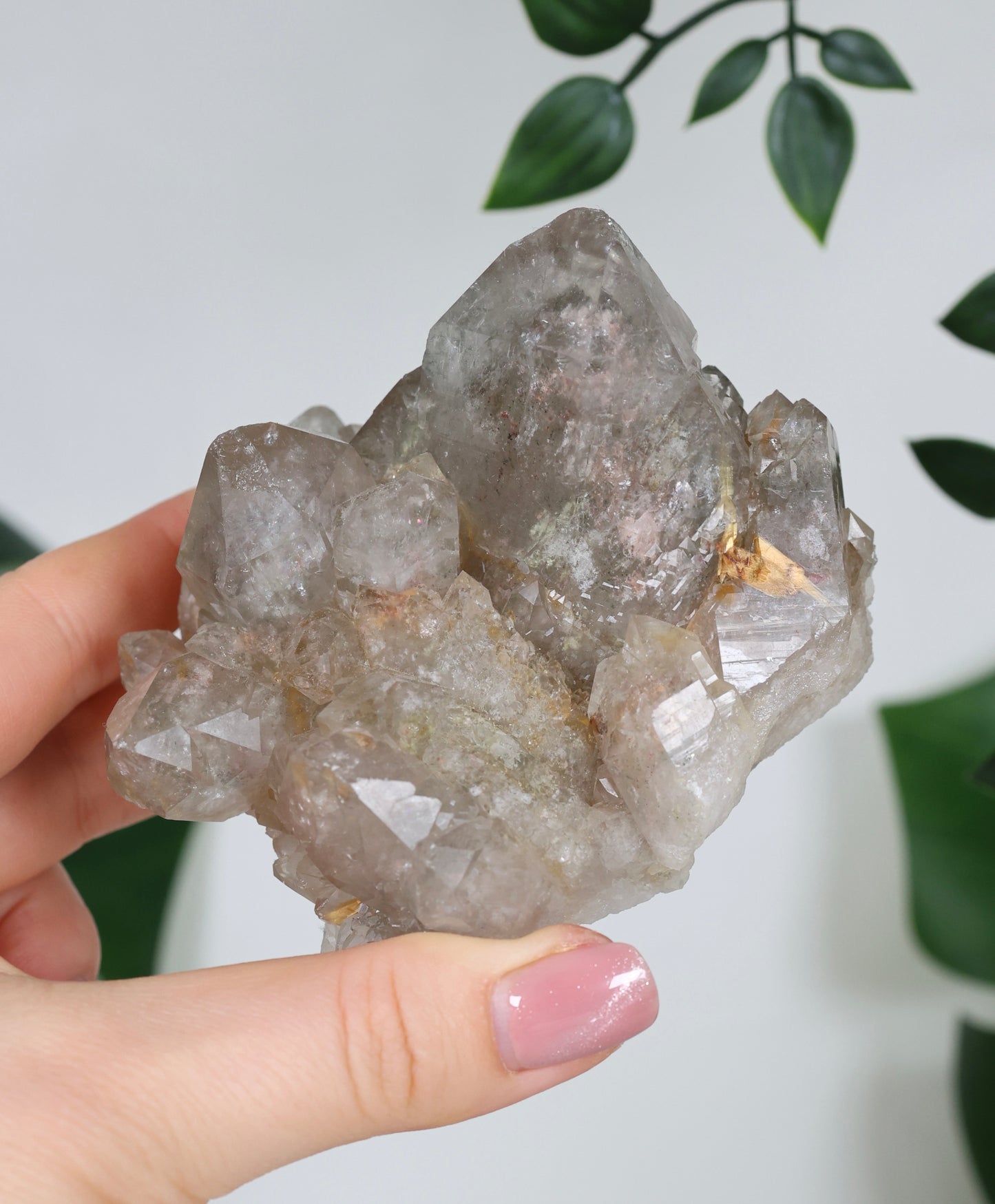 Garden Quartz x Rutile Cluster No. 168GR