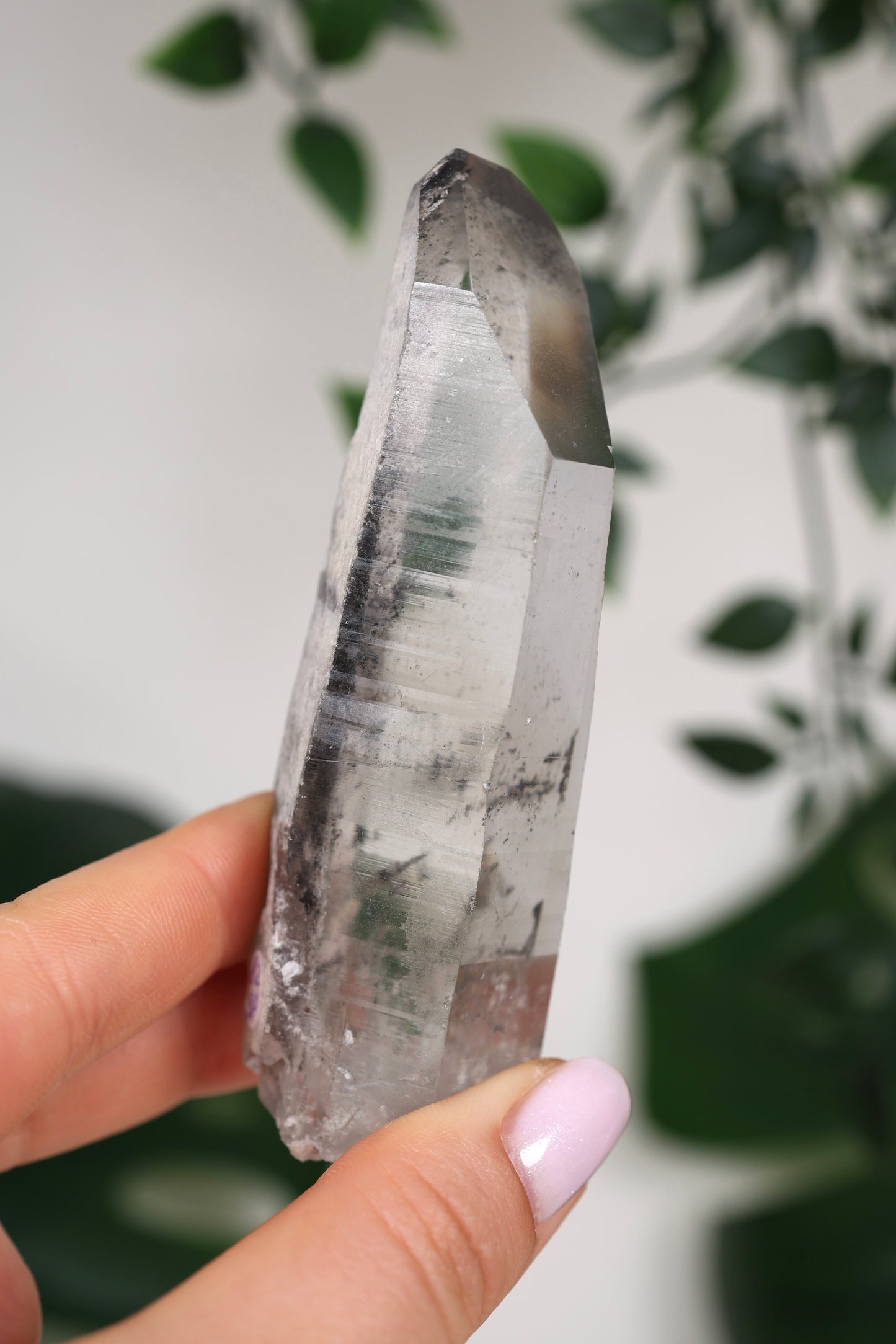 Black Phantom Lemurian Semi-Polished Nr.82BL