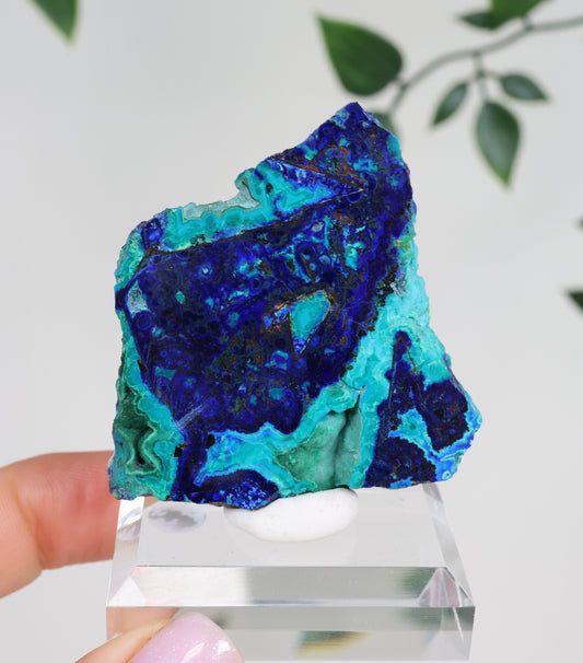 Azurite x Chrysocolla x Malachite No.147AZ 