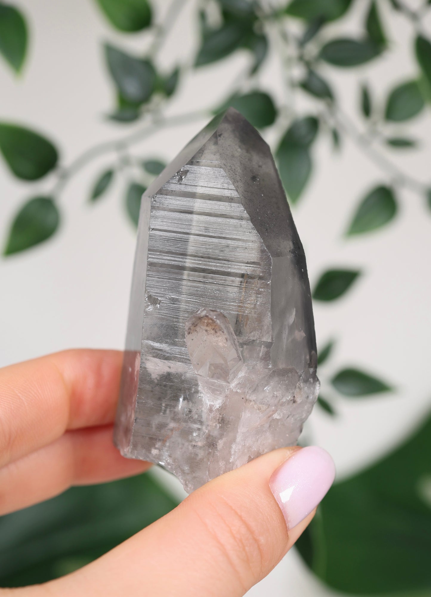 Black Phantom Lemurian Semi-Polished Nr.109BL
