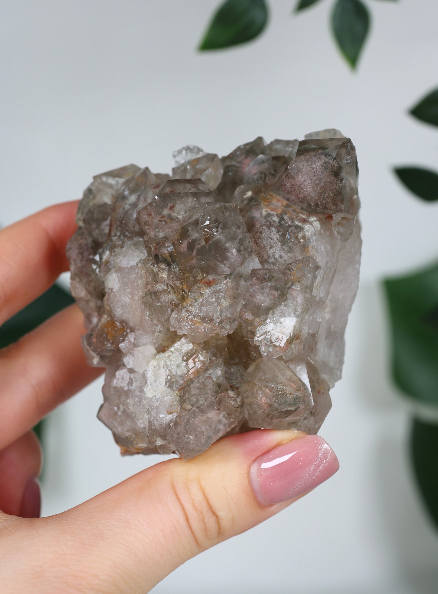 Garden Quartz x Rutile Cluster No.117GR
