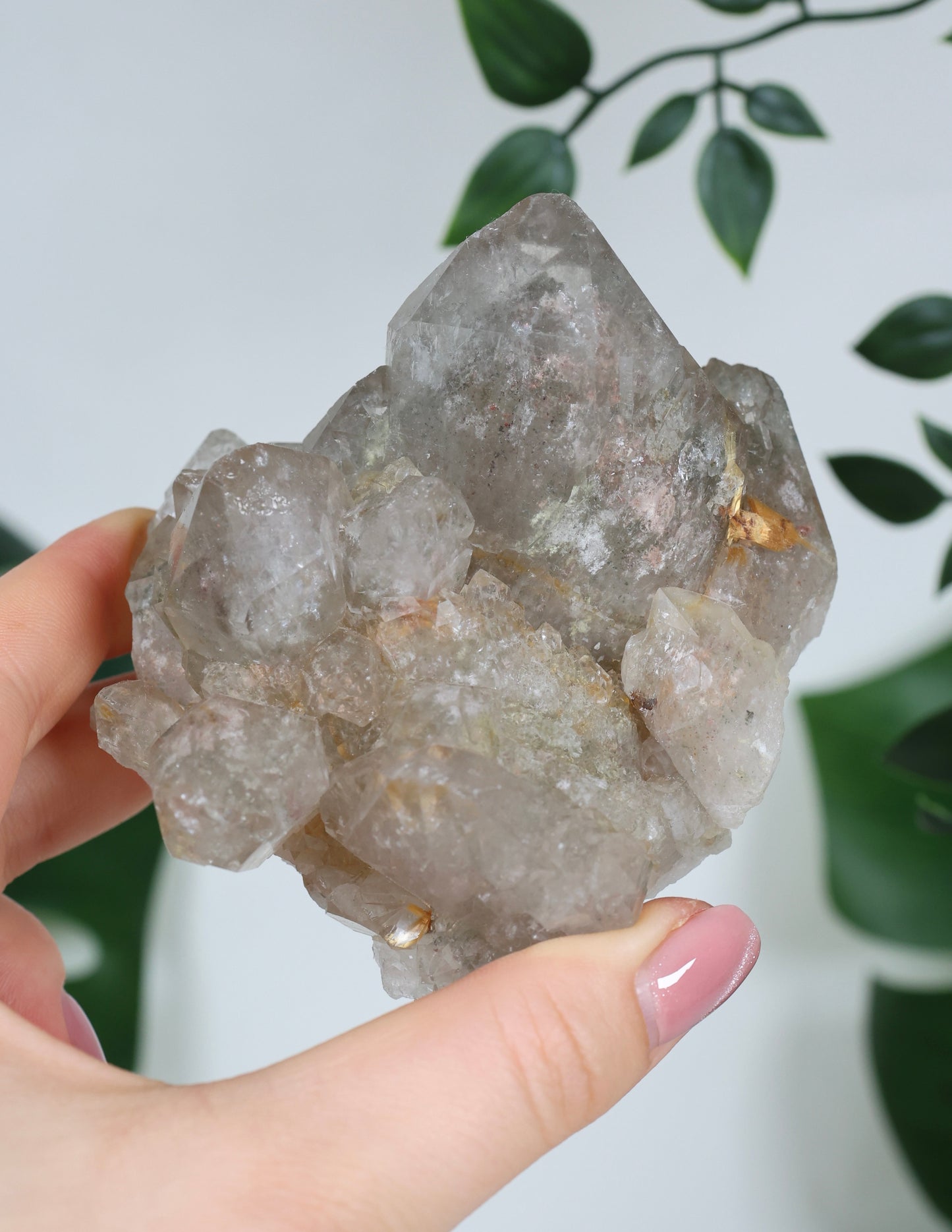 Garden Quartz x Rutile Cluster No. 168GR