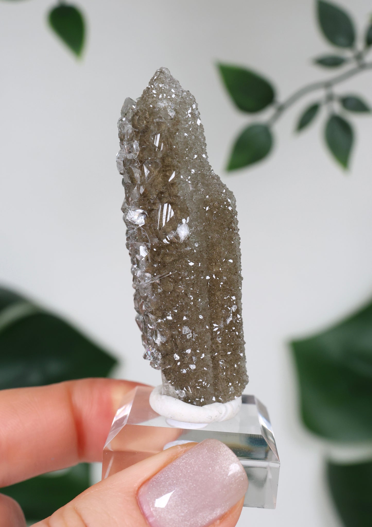 Apophyllite x Quartz x Chlorite No. 108Q1