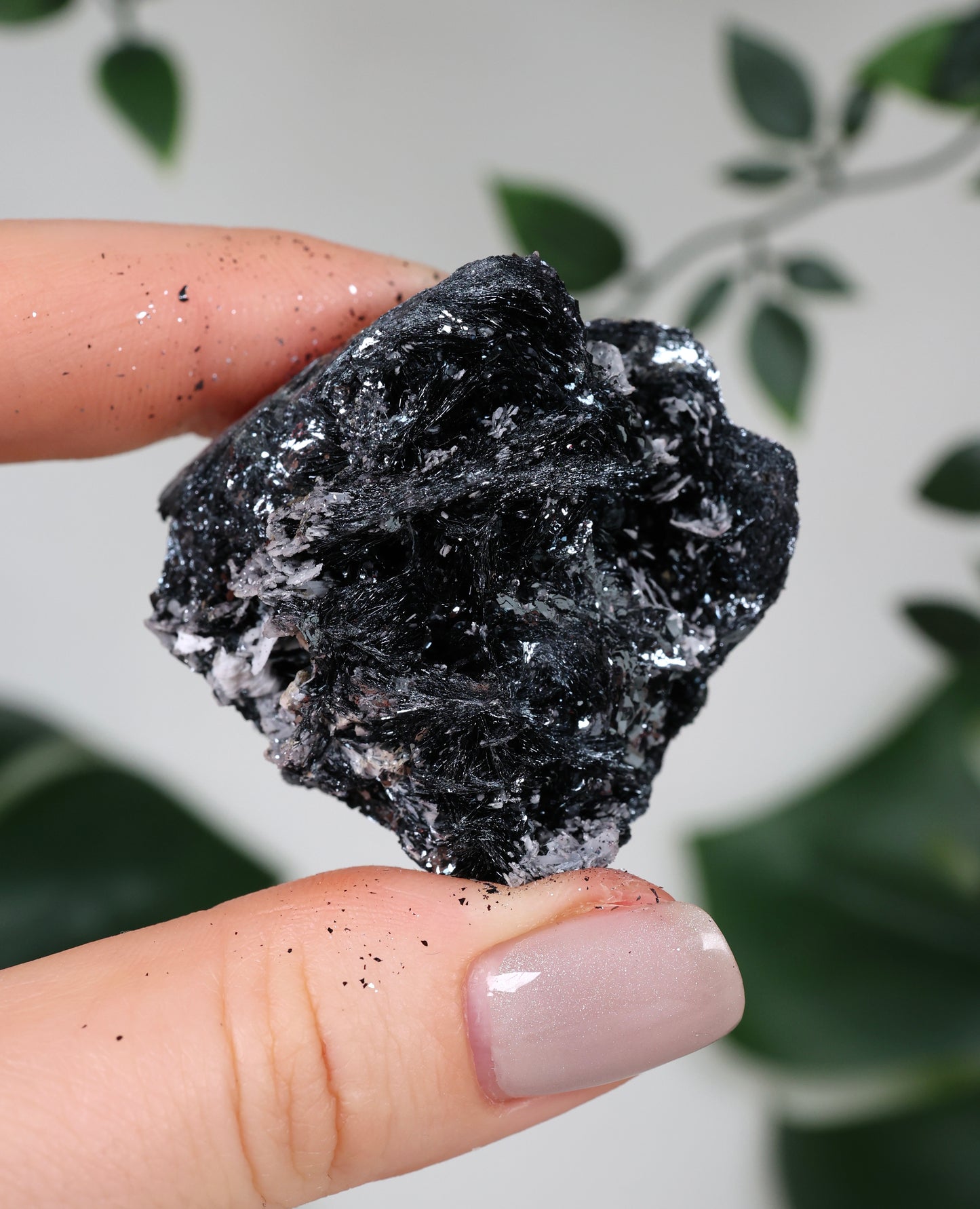 Specularite No. 95SP