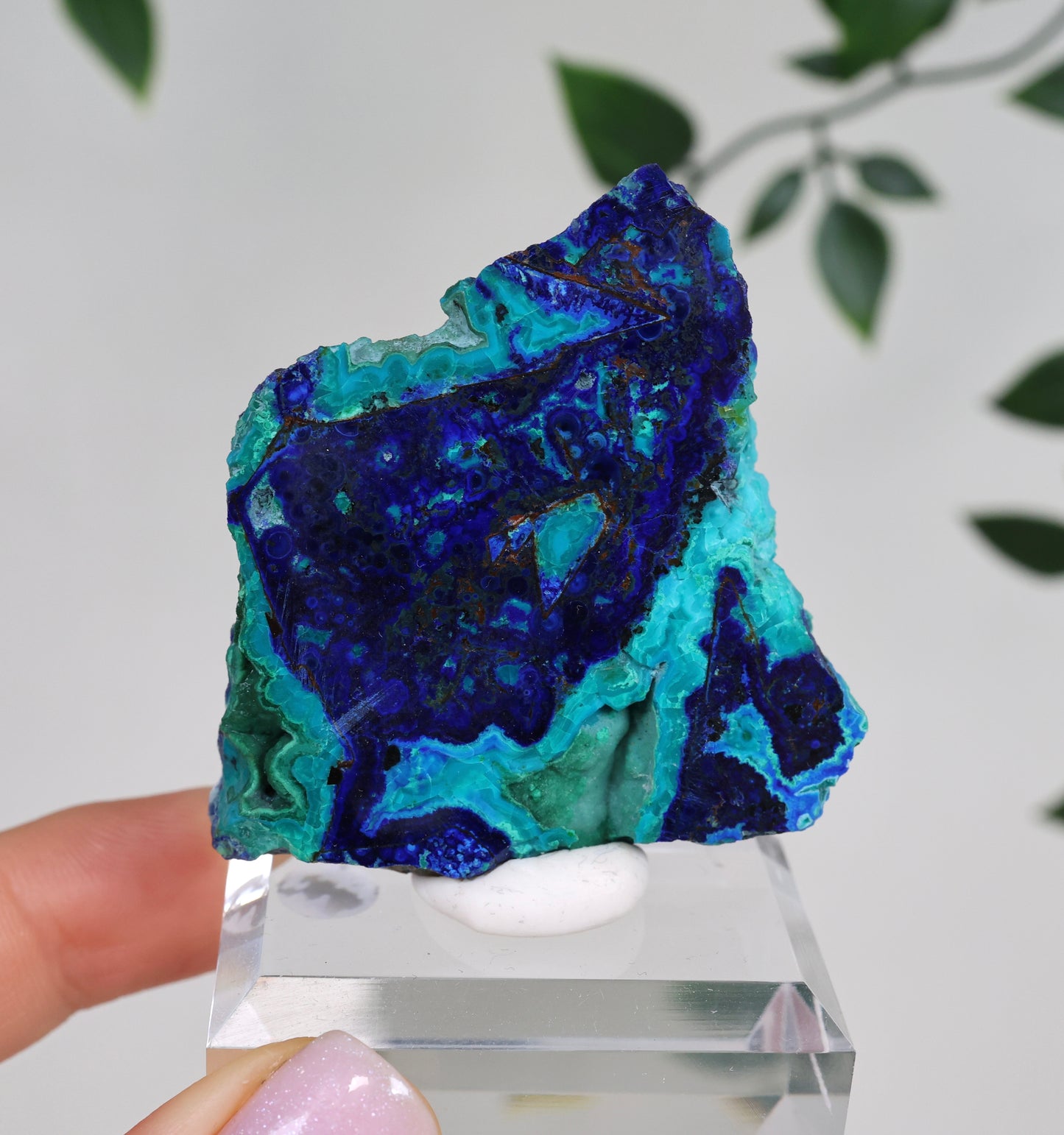 Azurite x Chrysocolla x Malachite No.147AZ 