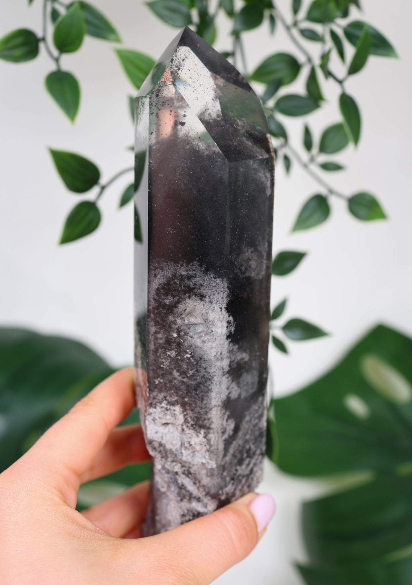 Black Phantom Lemurian Semi-Polished XL Nr.965BL