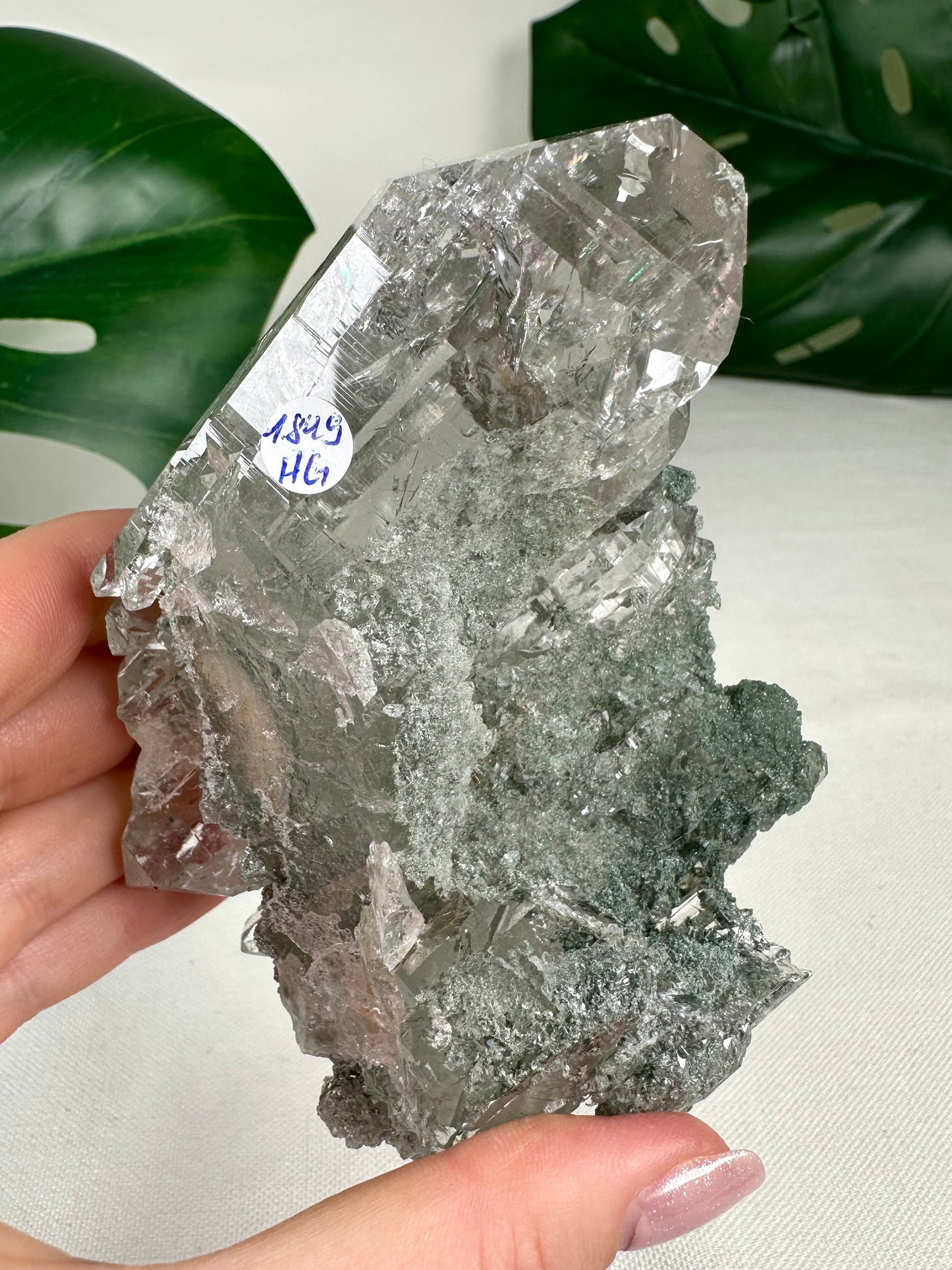 Himalayan Quartz 'Gwindel' with Anatase &amp; Chlorite &amp; Rutile HQ No.1849HG