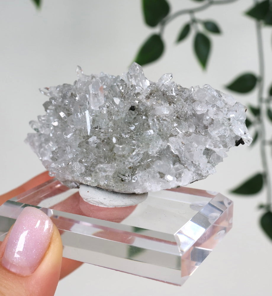 Starburst Quartz x Hematite Goboboseb No.168GS