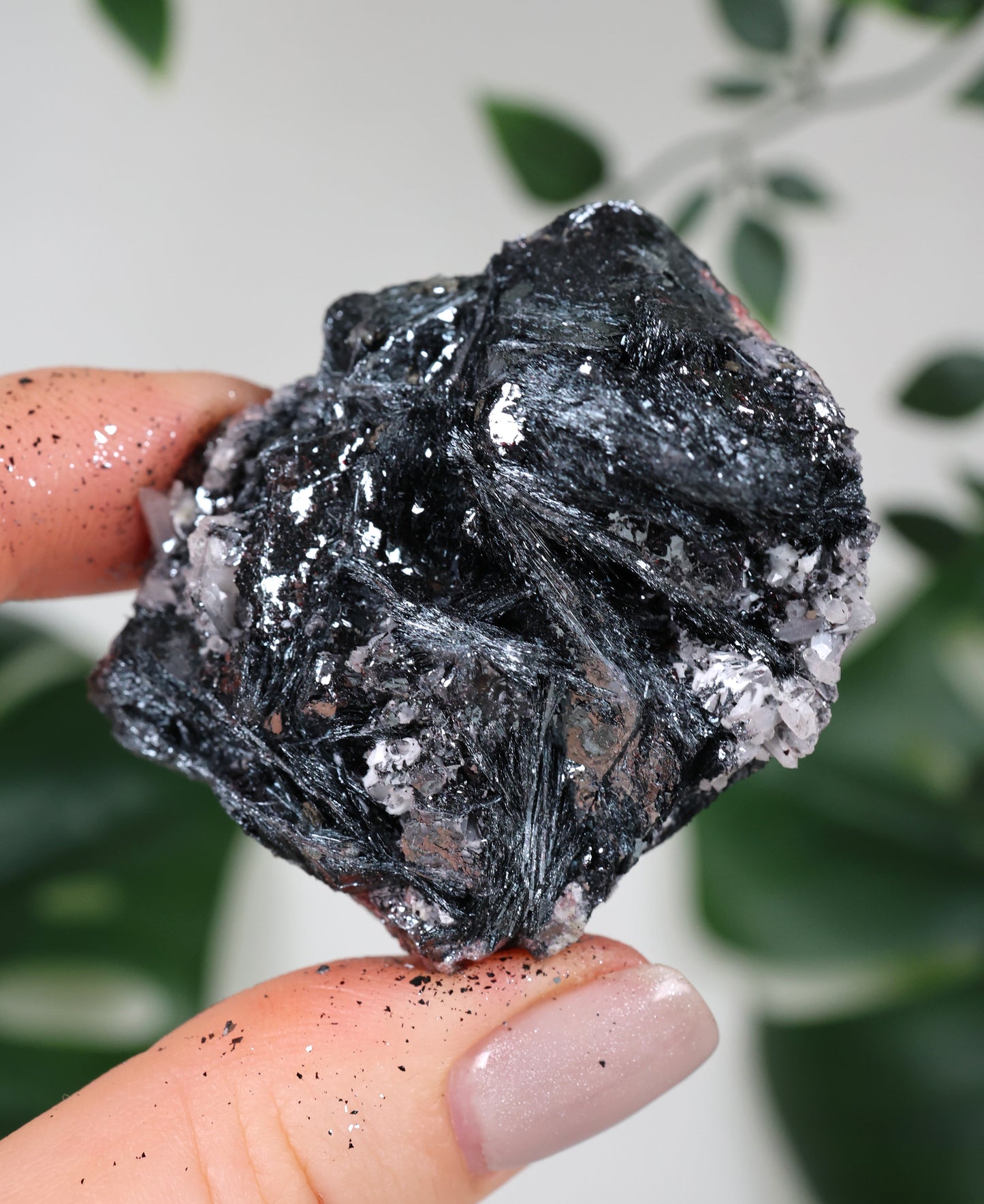 Specularite No. 97SP