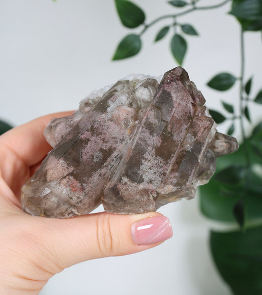 Garden Quartz x Rutile Cluster No. 178GR