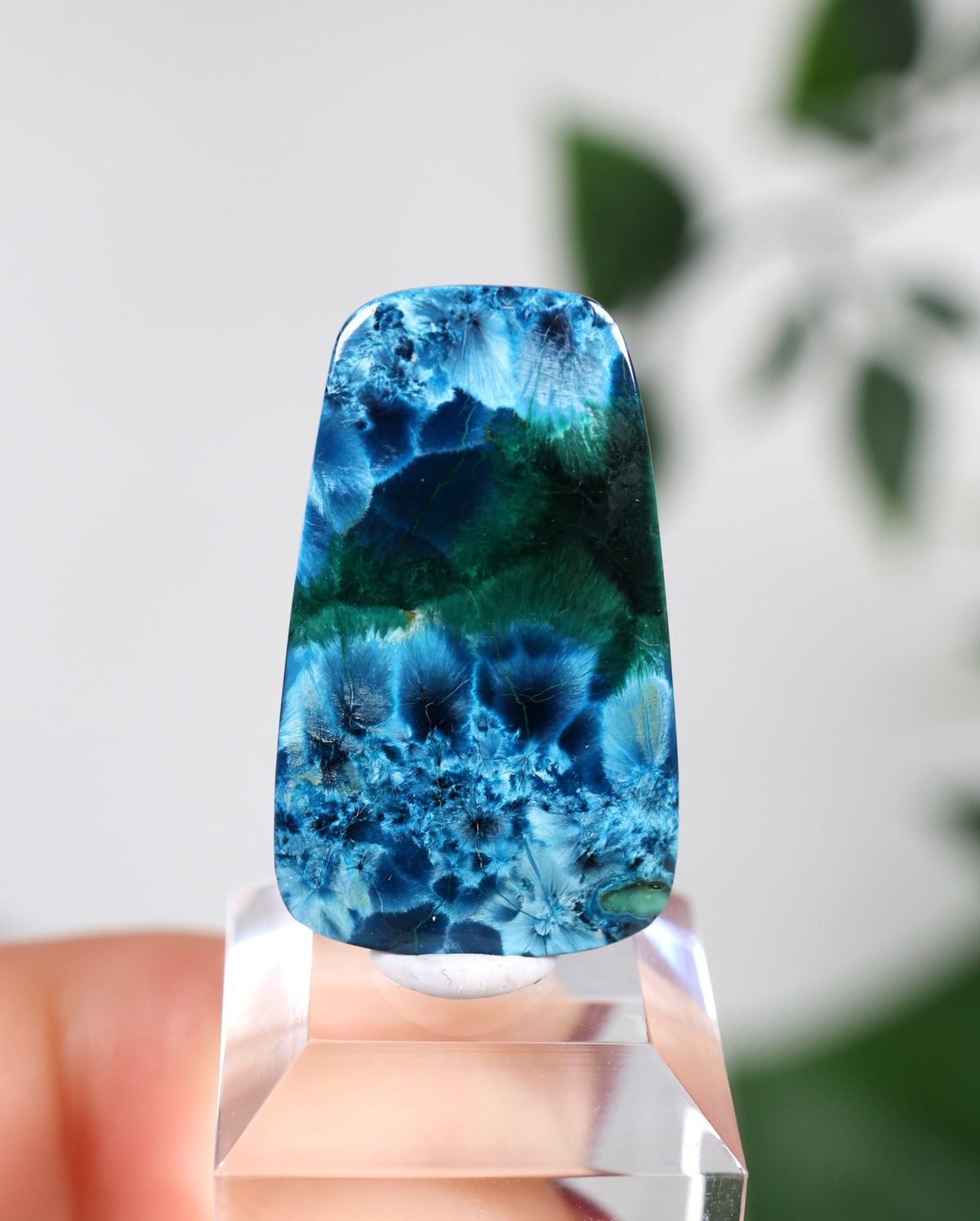 Tantara Shattuckit x Dioptas Oldstock Cabochon Nr.164ST