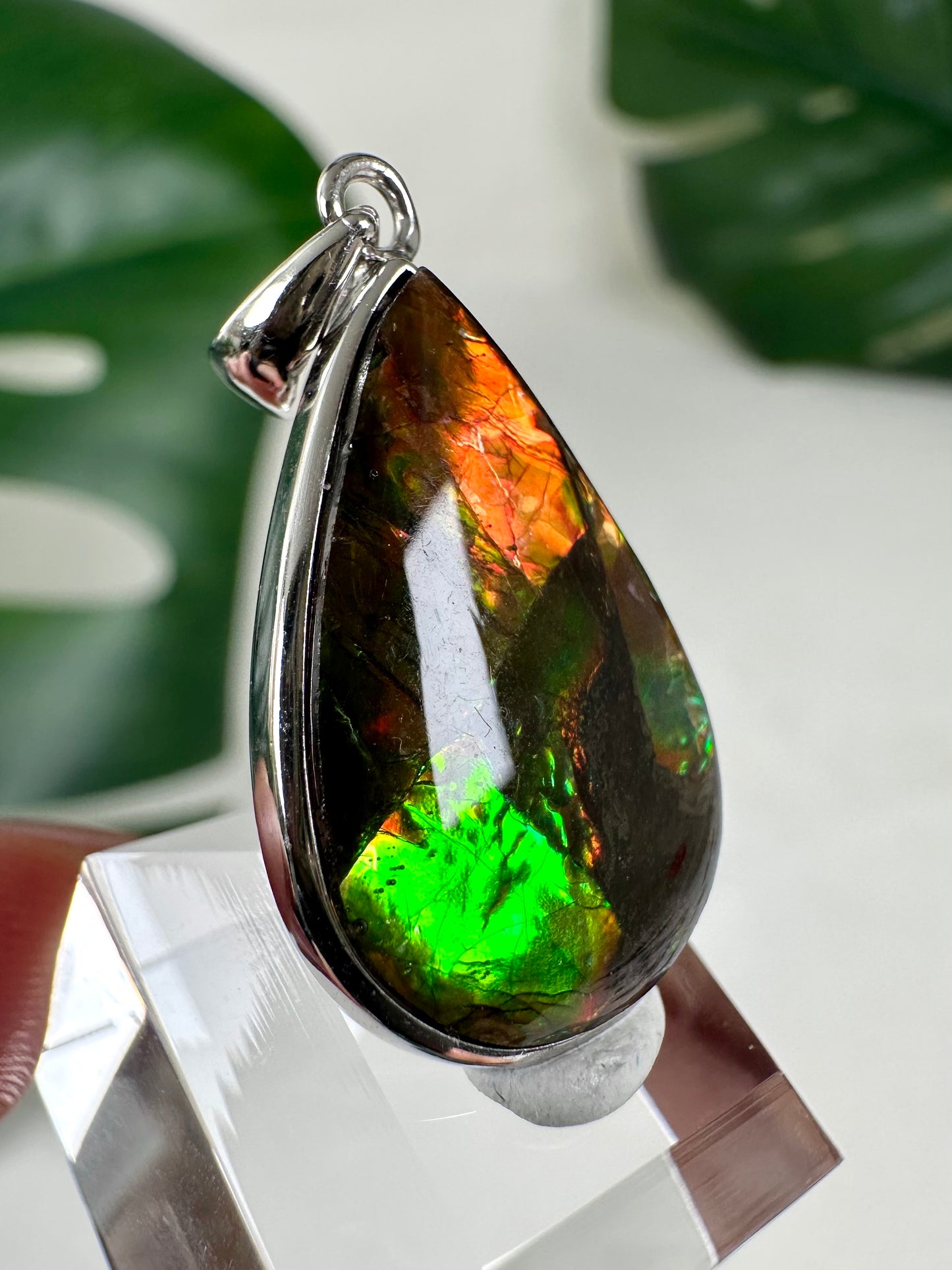 Colgante de ammolita en plata 925 n.º 119A2