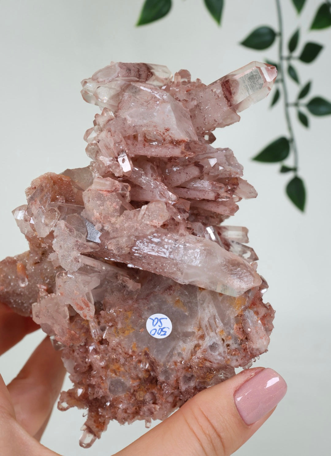 Sunset Quartz No. 500SQ