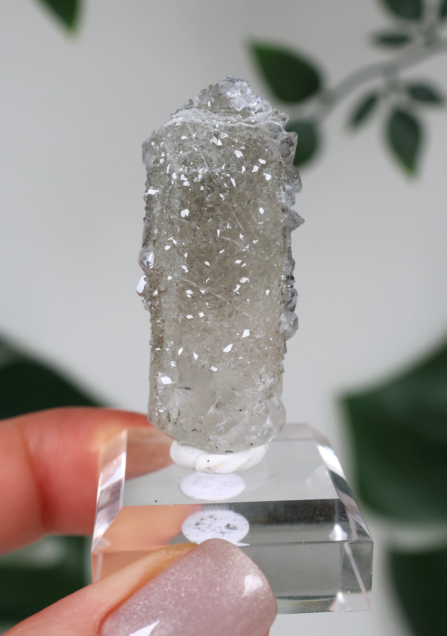 Apophyllite x Quartz x Chlorite No.67QA