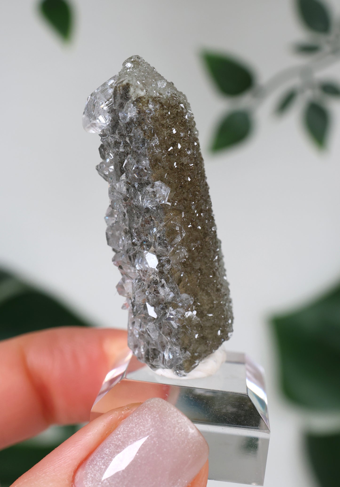 Apophyllite x Quartz x Chlorite No.62Q1