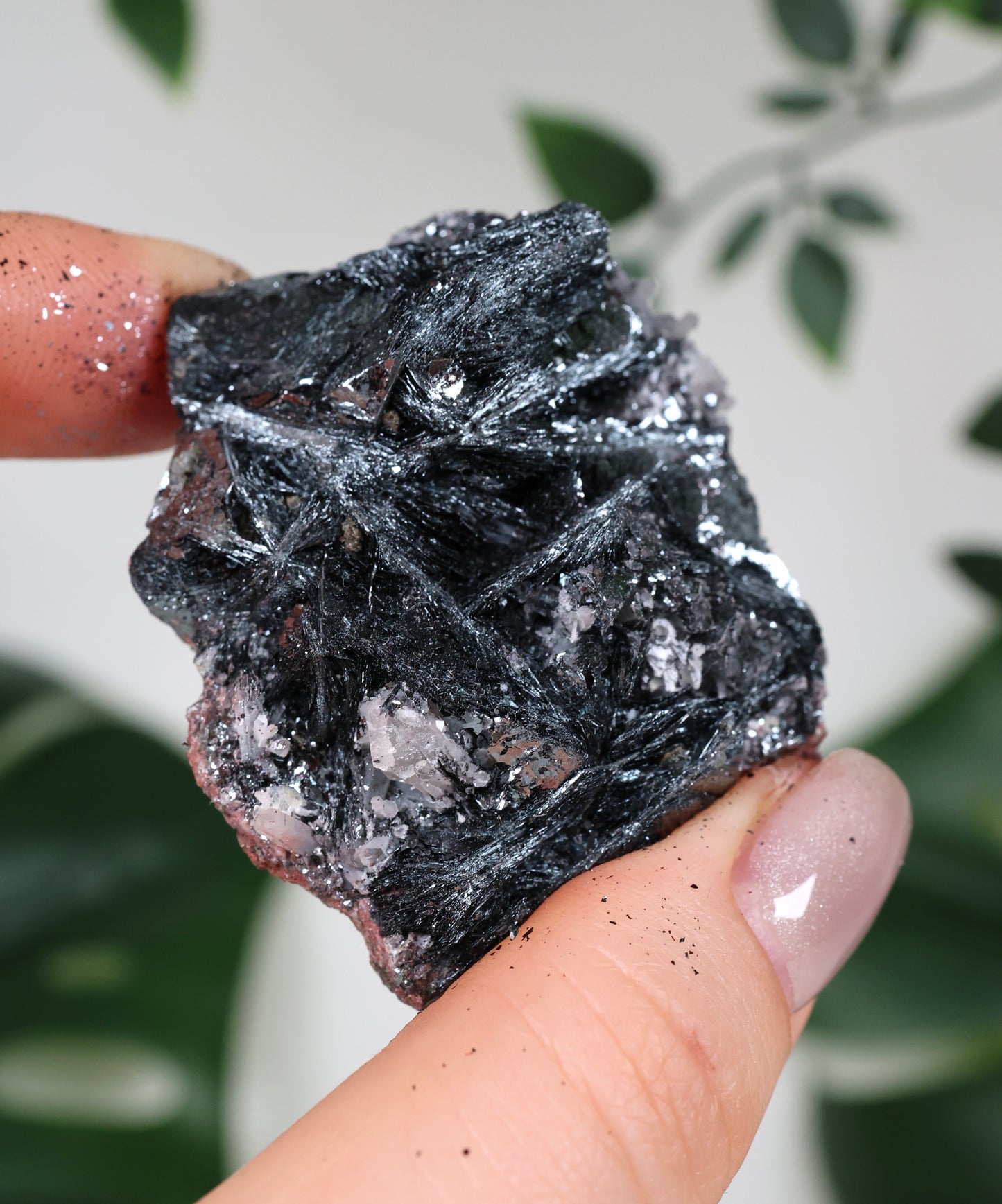Specularite No. 97SP