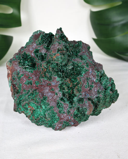Brochantite x Bornite No. 295BC