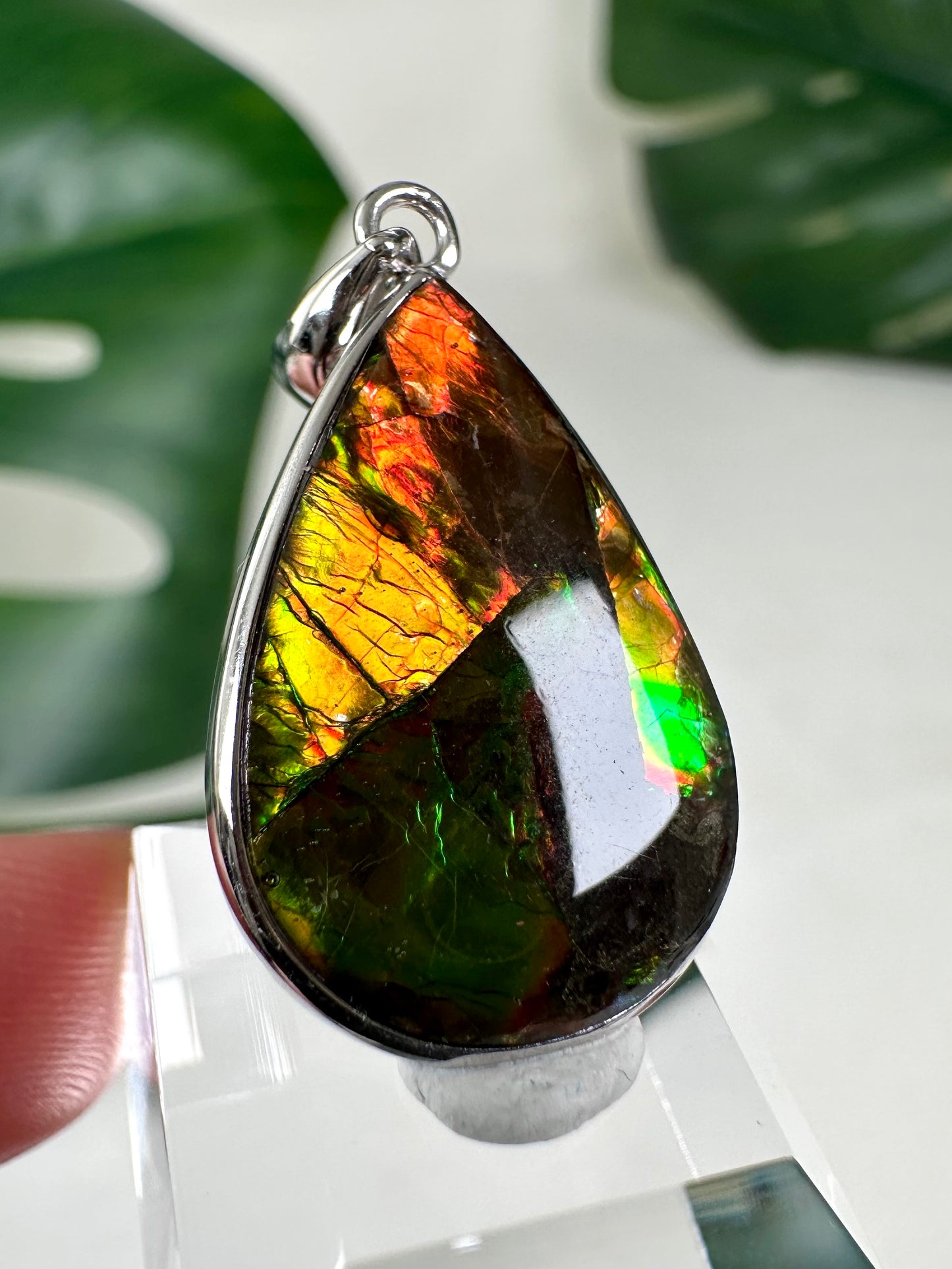 Colgante de ammolita en plata 925 n.º 119A2