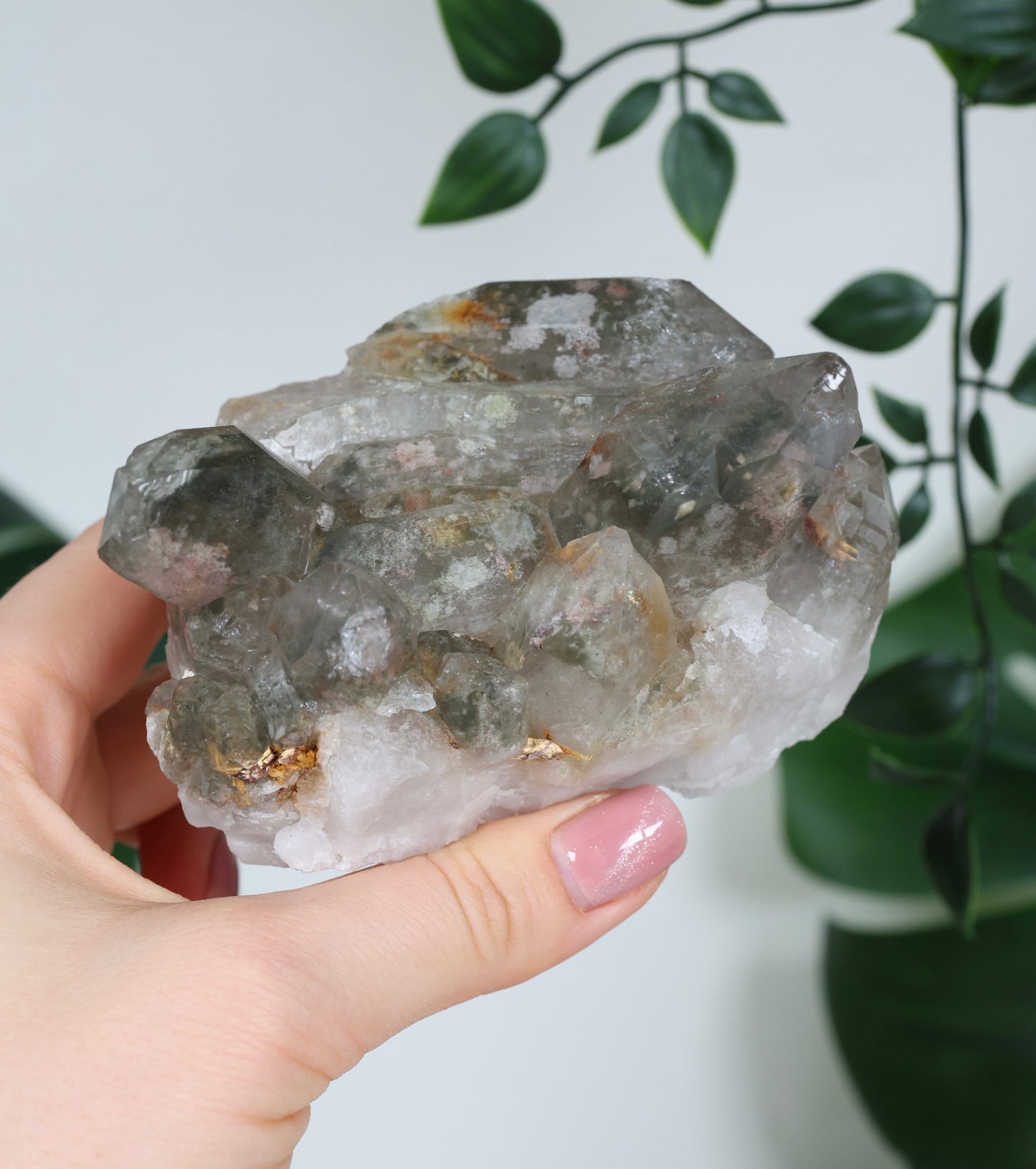 Garden Quartz x Rutilated Quartz Cluster No. 255GR