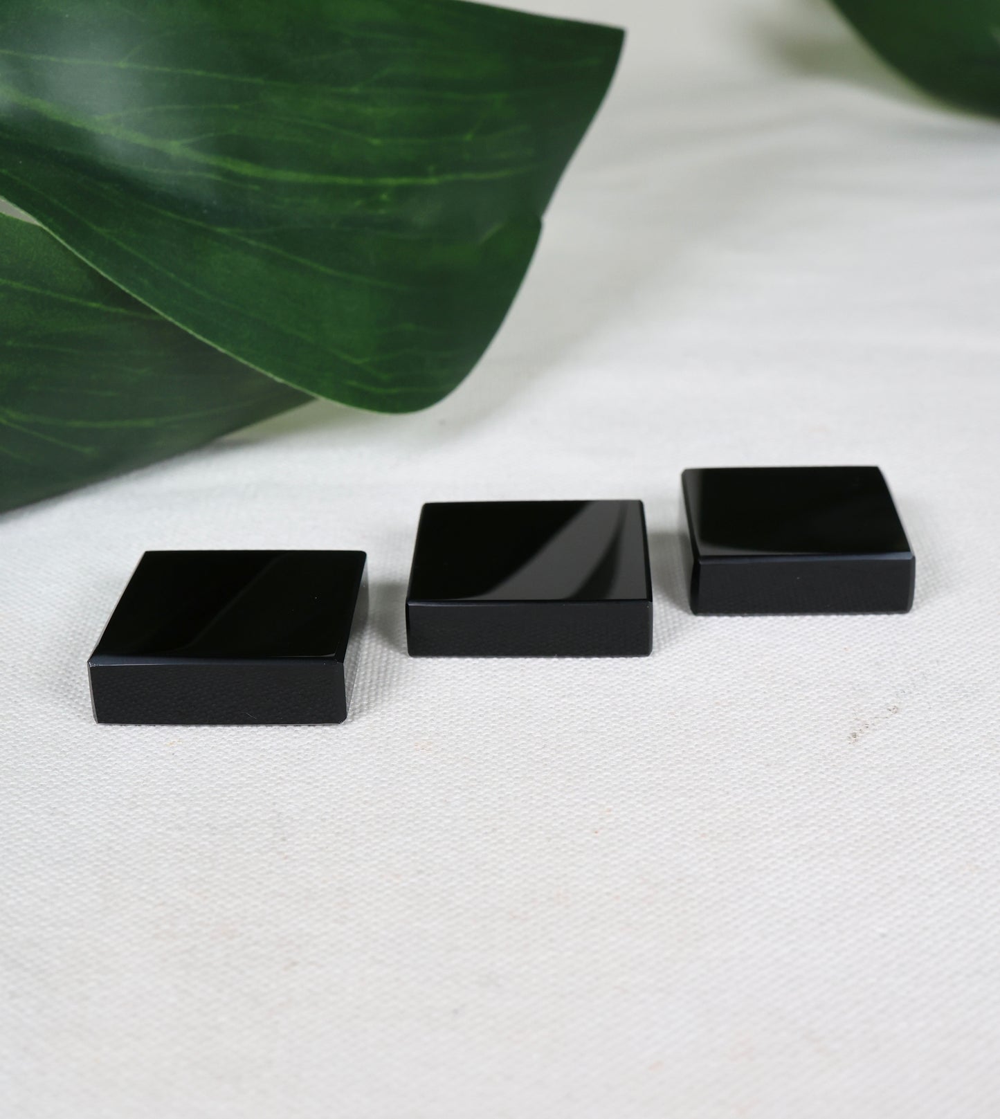 Obsidian Specimen Platte S