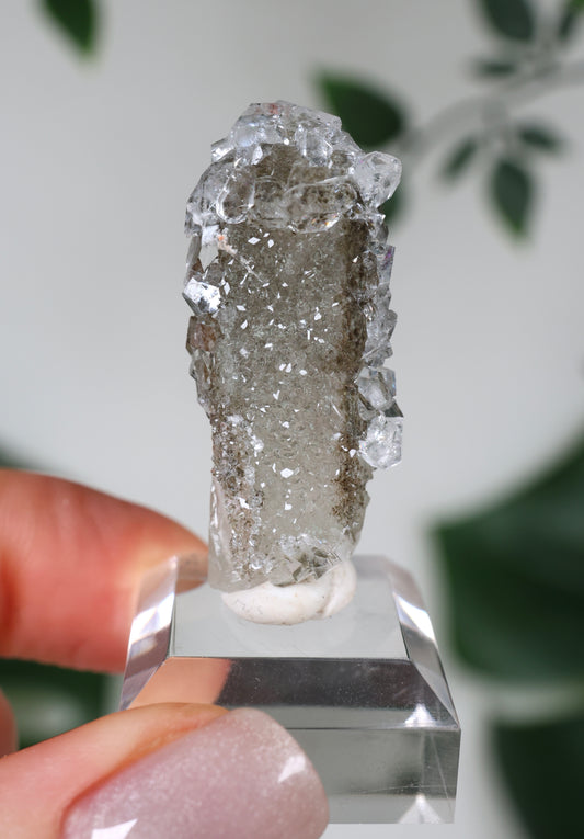 Apophyllite x Quartz x Chlorite No.42Q1