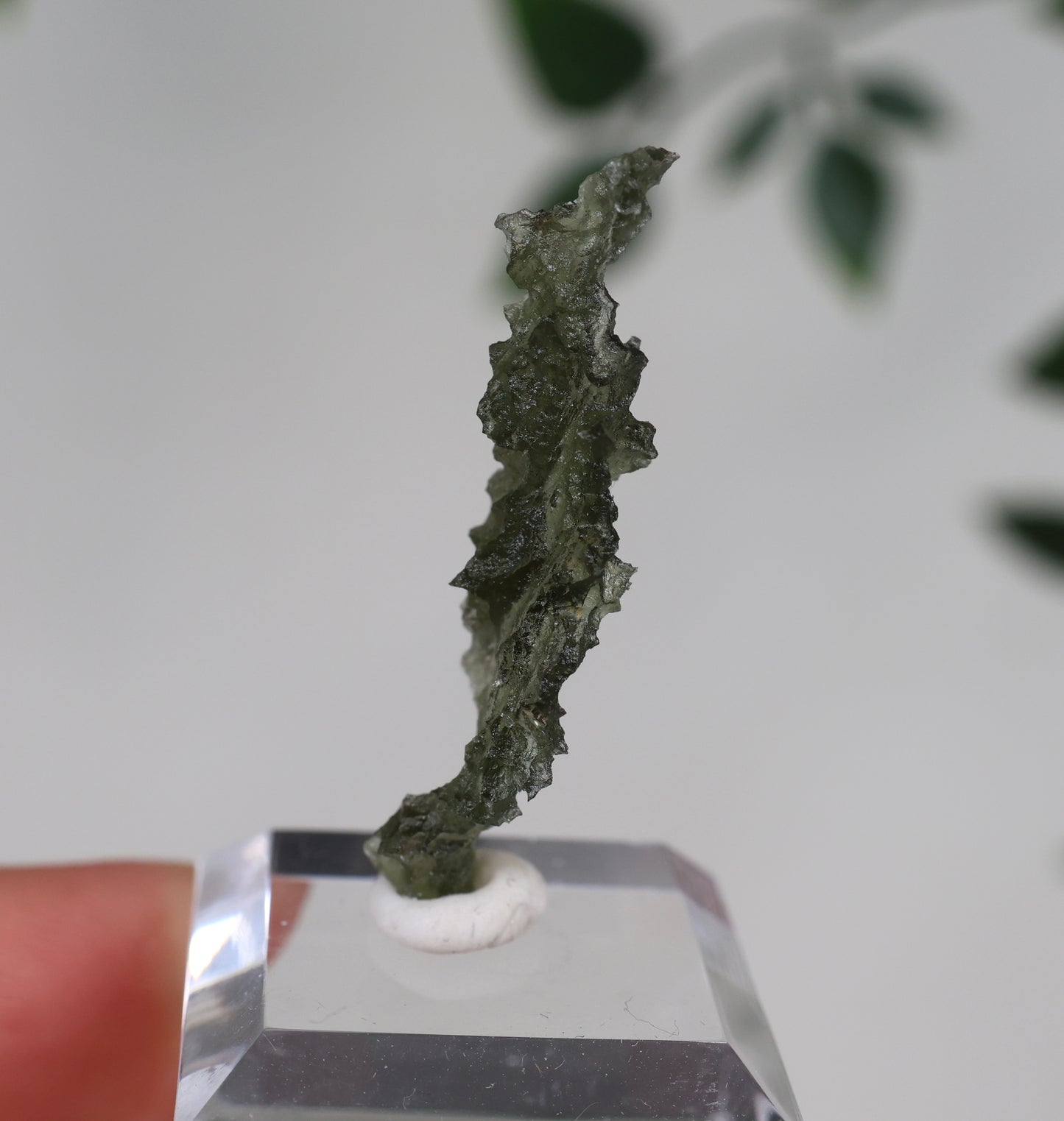 Moldavita Nr.104MV