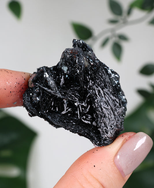 Specularite No. 86SP