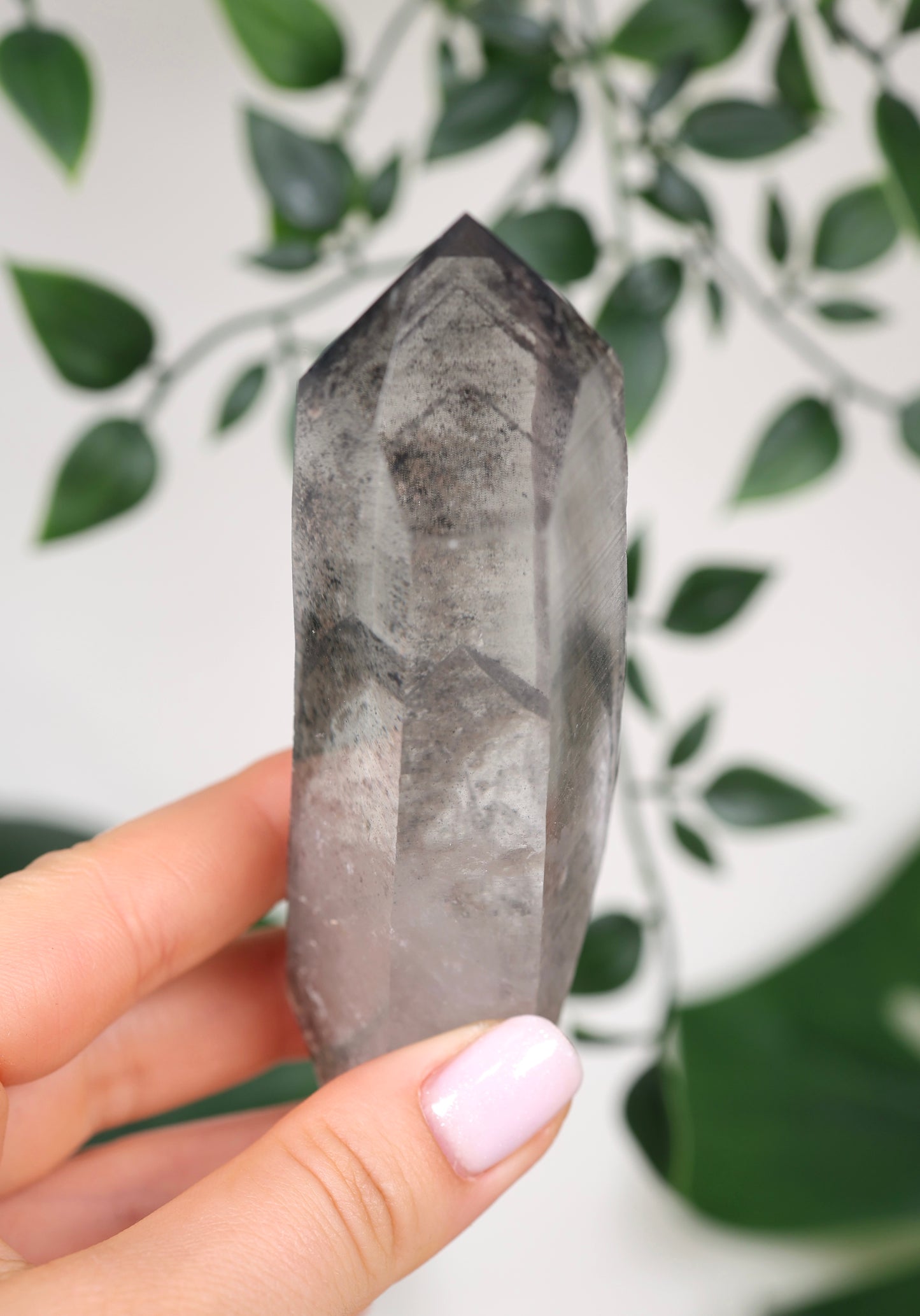 Black Phantom Lemurian Semi-Polished Nr.94BL