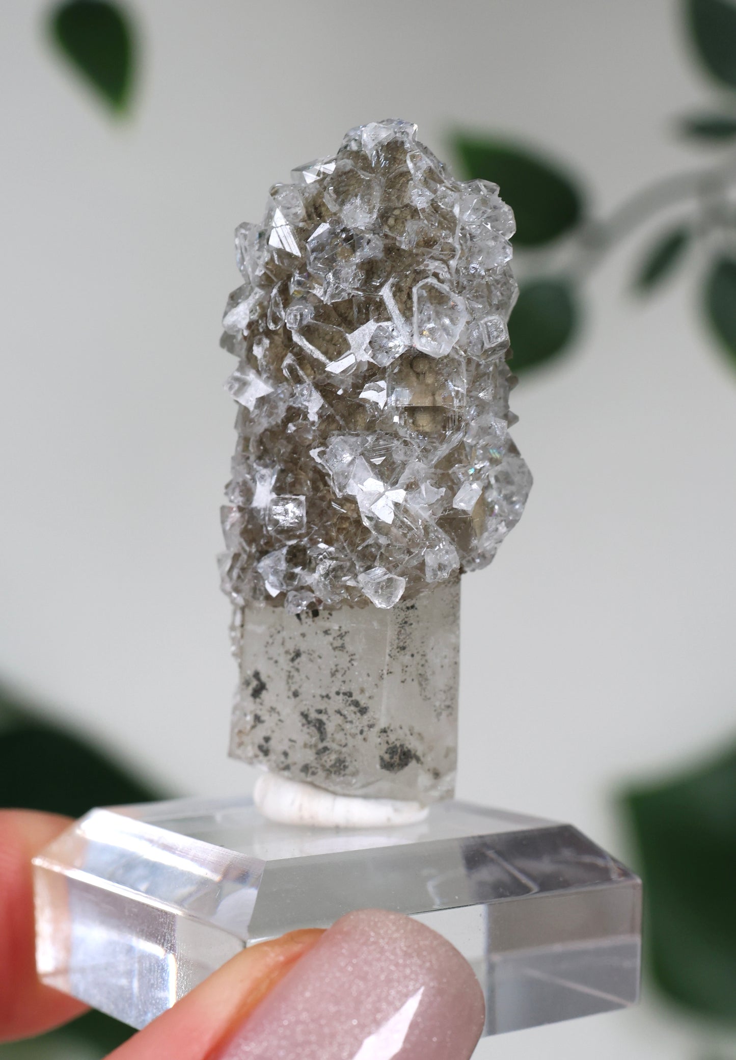 Apophyllite x Quartz x Chlorite No.67QA