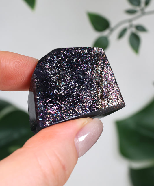 Iolita x Piedra del Sol n.º 92IF